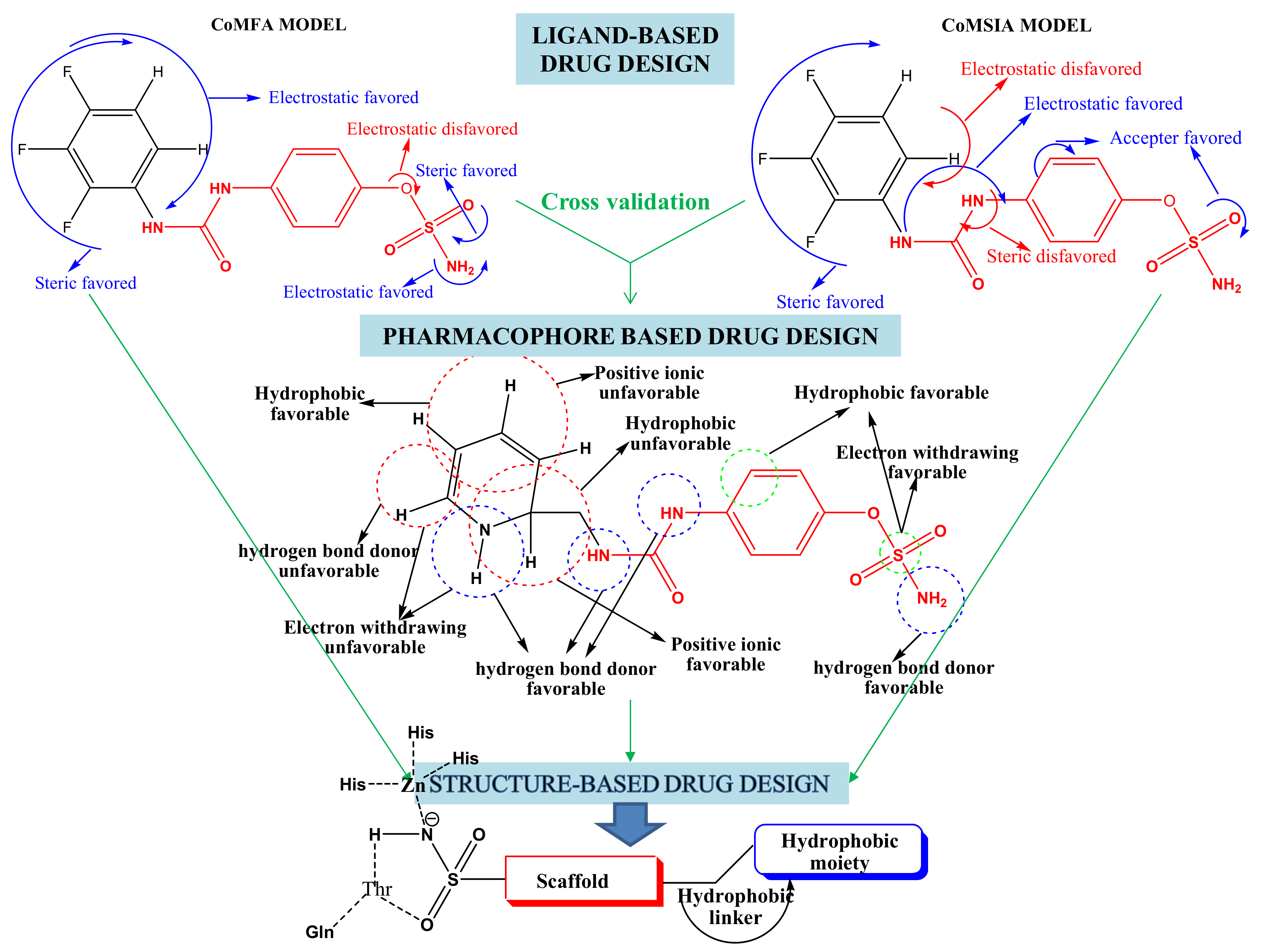Pharmaceuticals 14 00693 g002