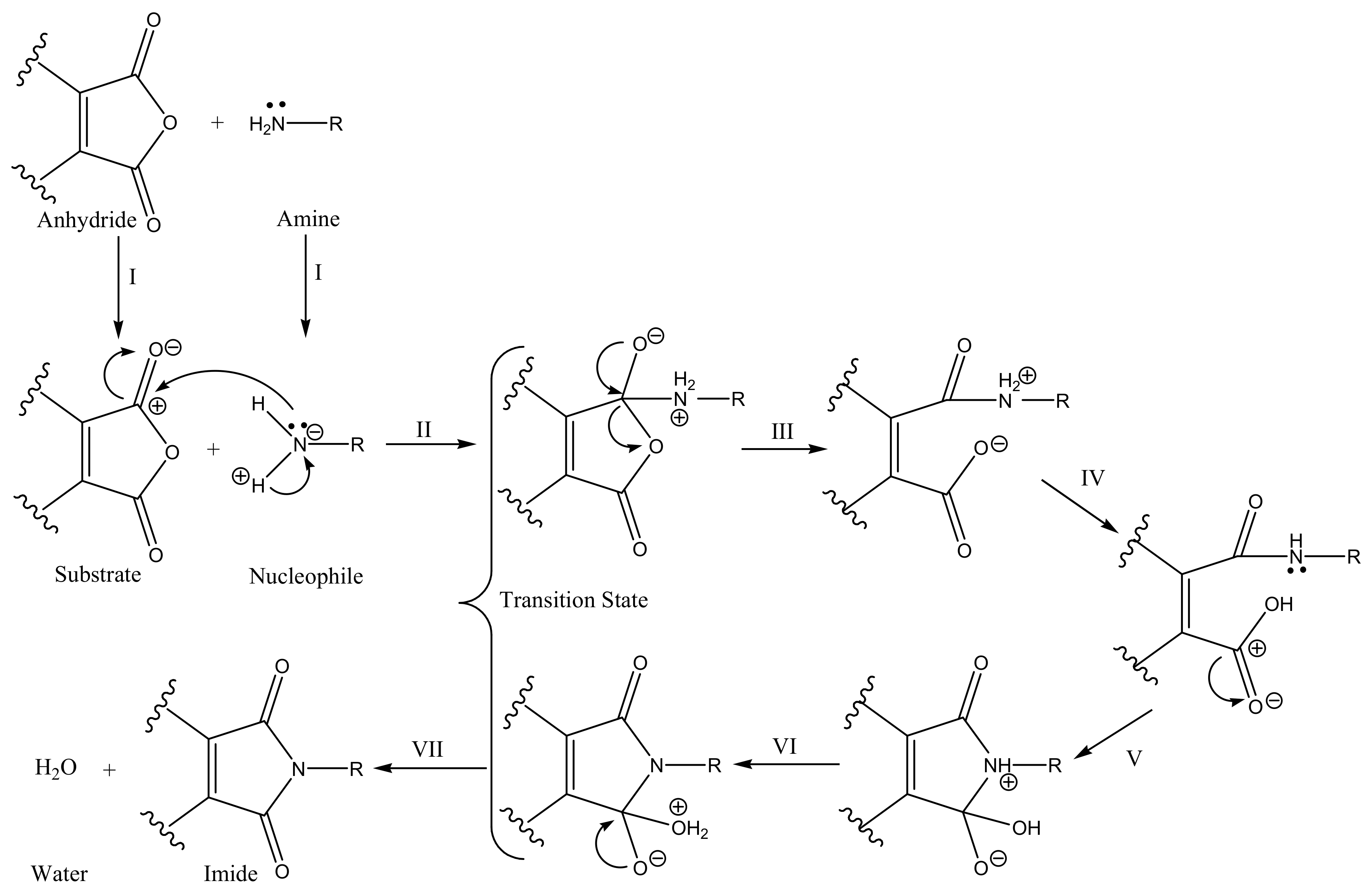Pharmaceuticals 14 00693 g003