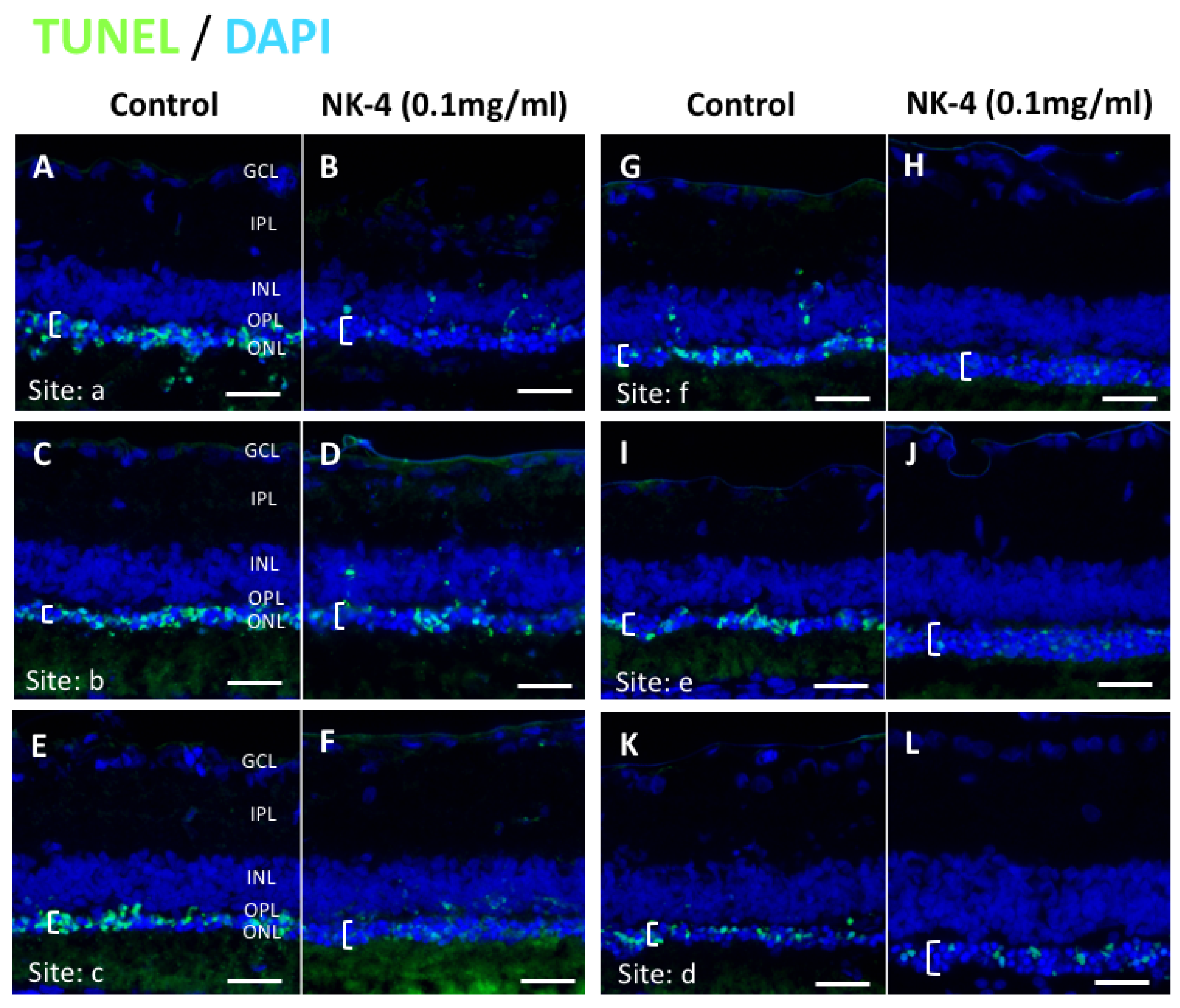 Pharmaceuticals 14 00694 g004 Pharmaceuticals 14 00694 g004