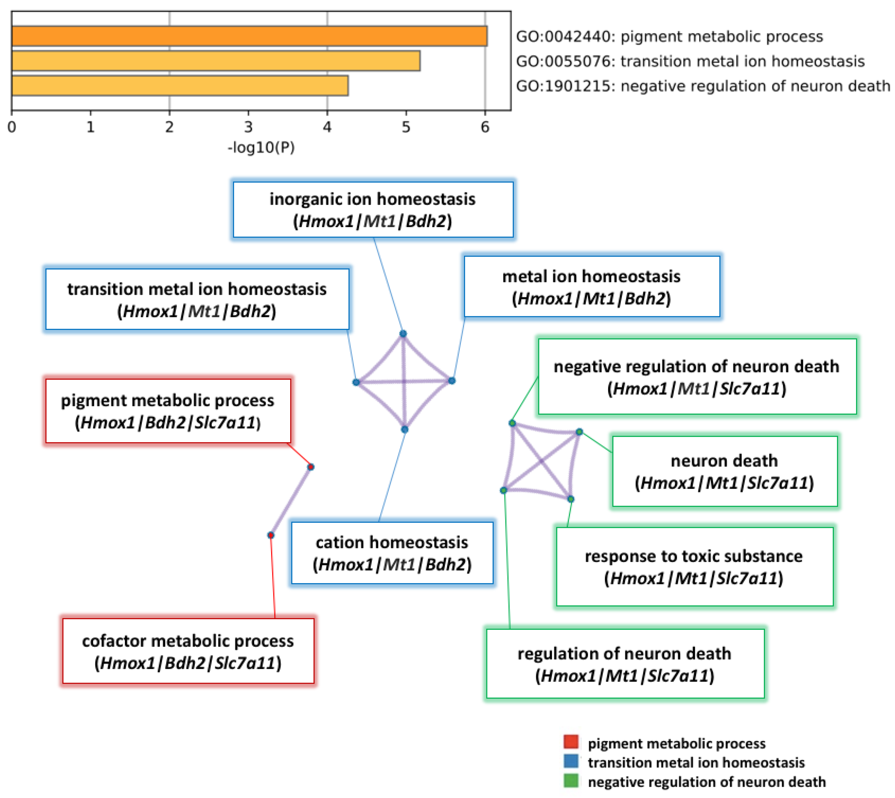Pharmaceuticals 14 00694 g006 Pharmaceuticals 14 00694 g006