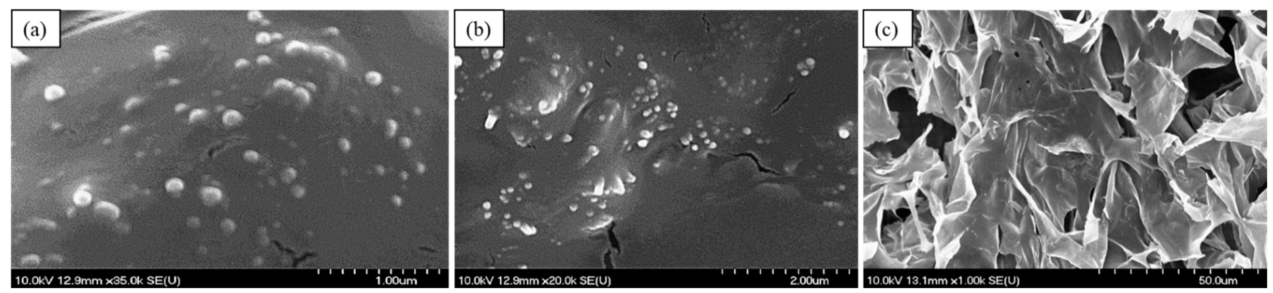 Pharmaceuticals 14 00696 g007