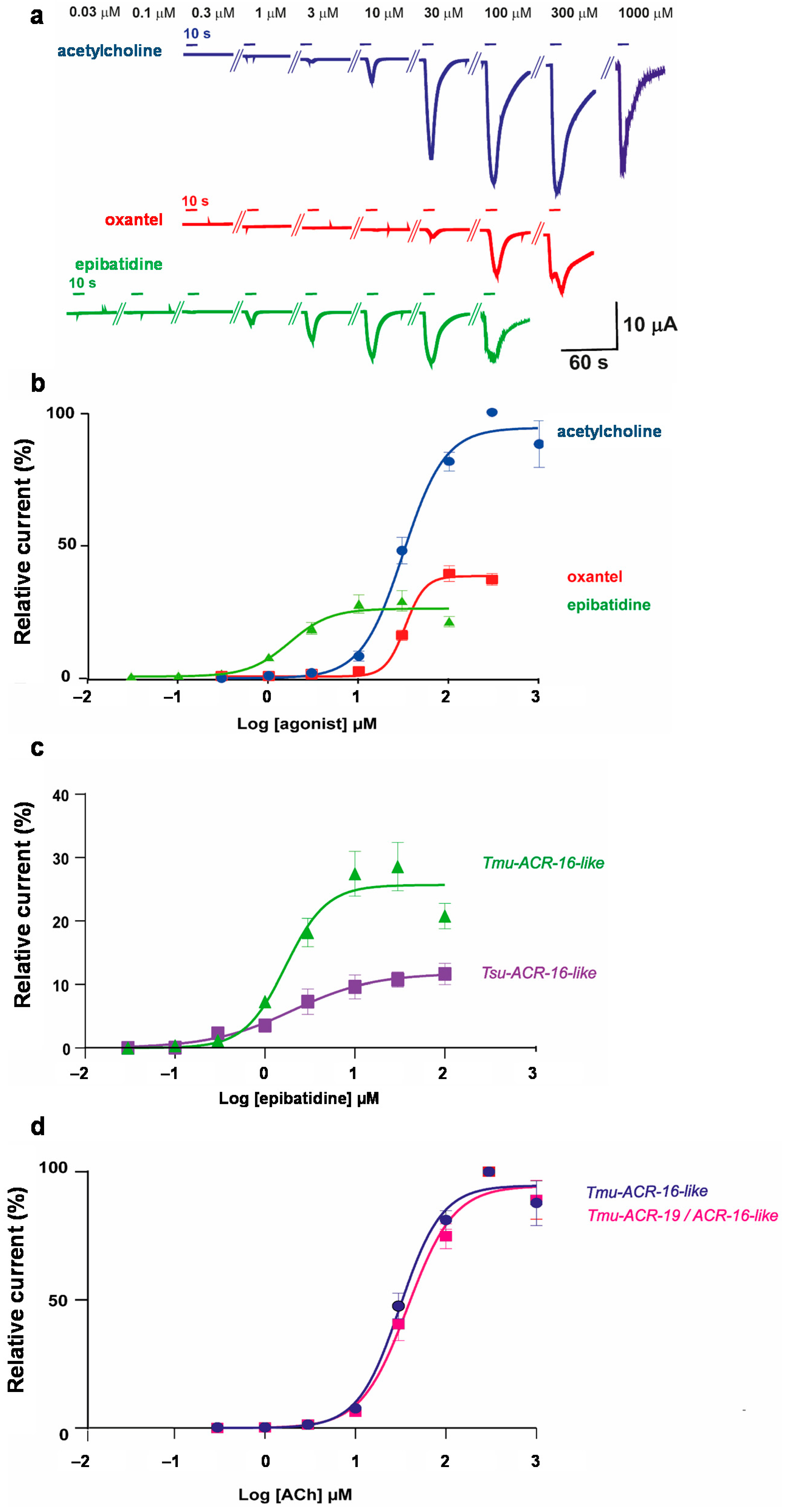 Pharmaceuticals 14 00698 g003