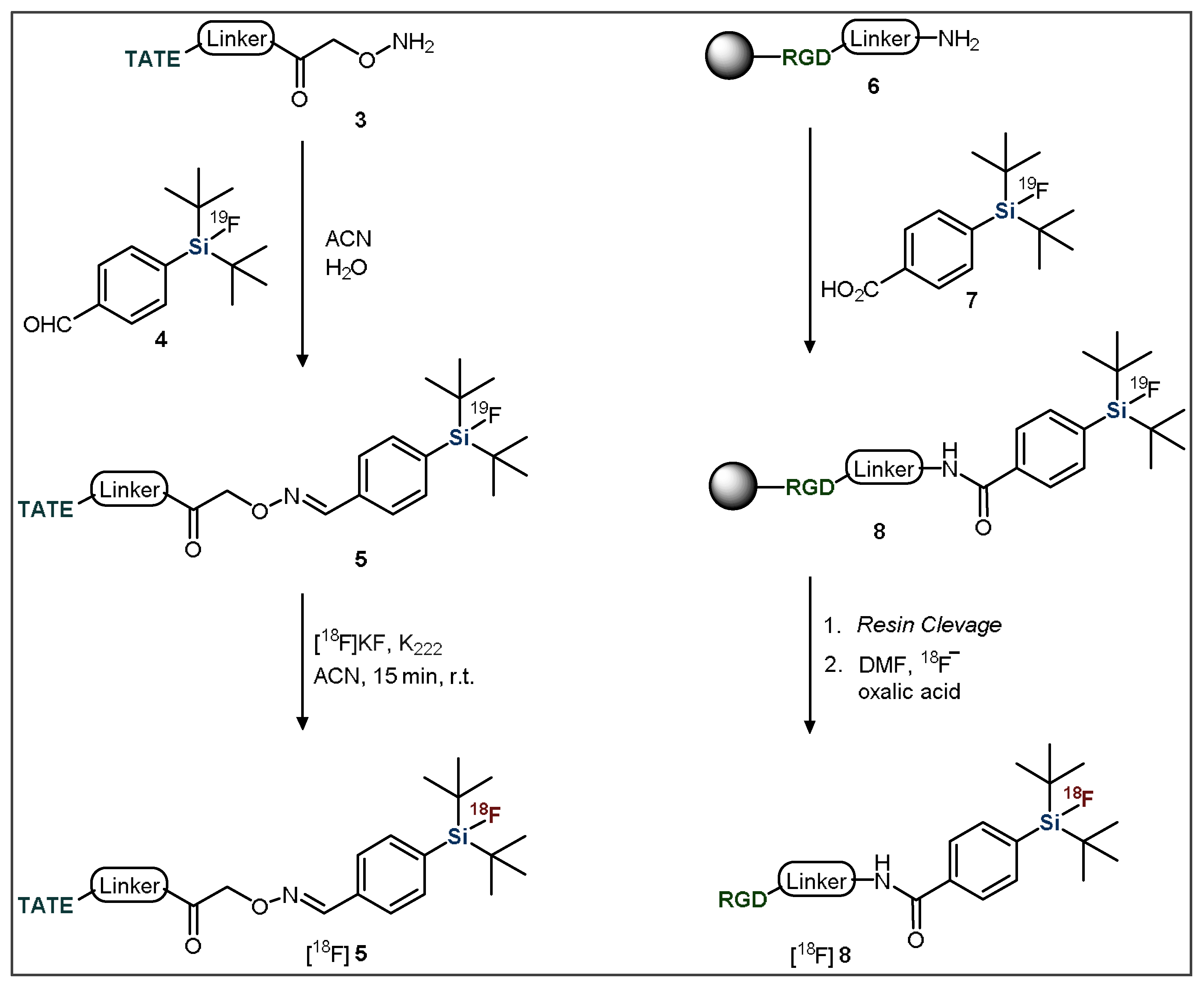 Pharmaceuticals 14 00701 g003 Pharmaceuticals 14 00701 g003