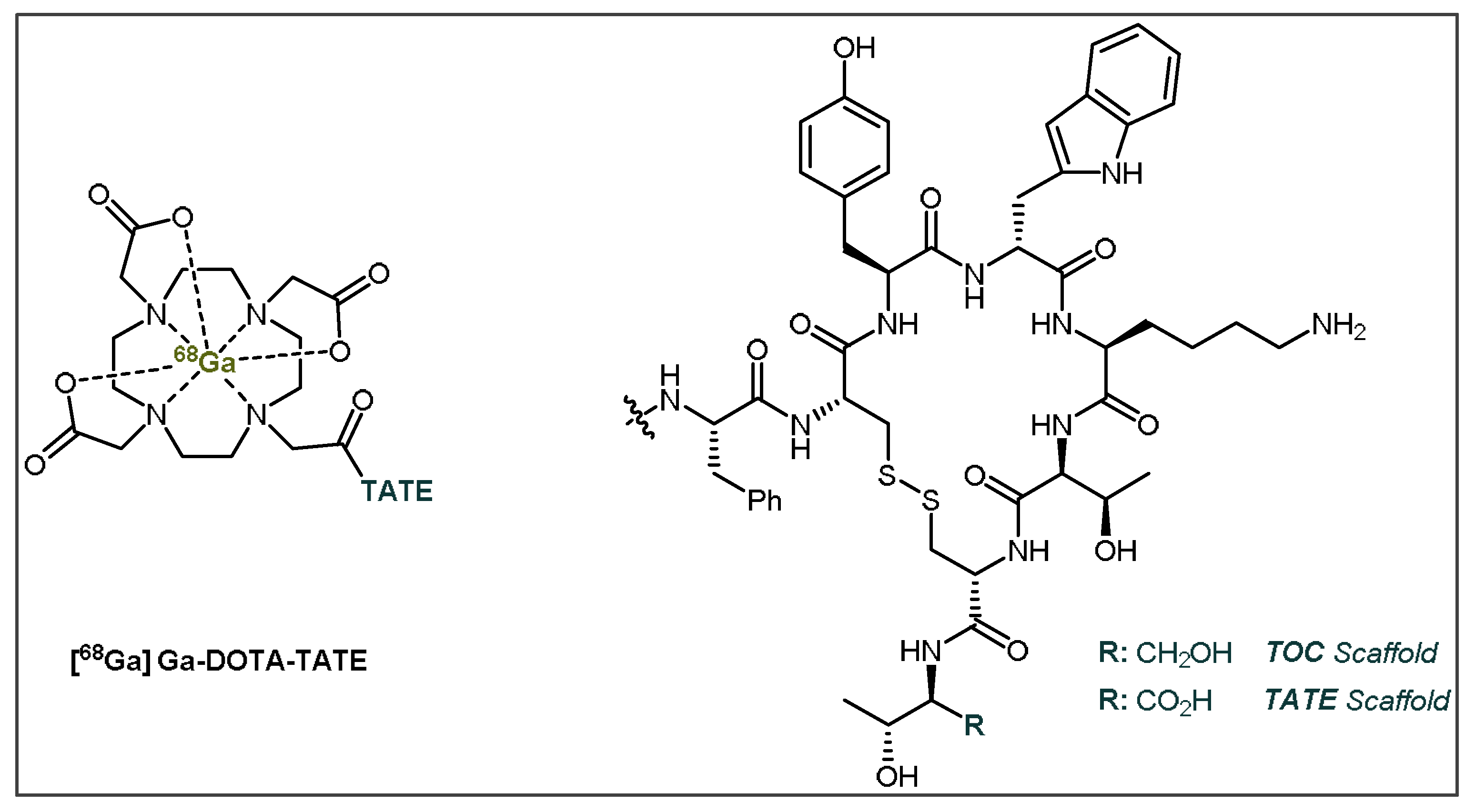 Pharmaceuticals 14 00701 g005 Pharmaceuticals 14 00701 g005