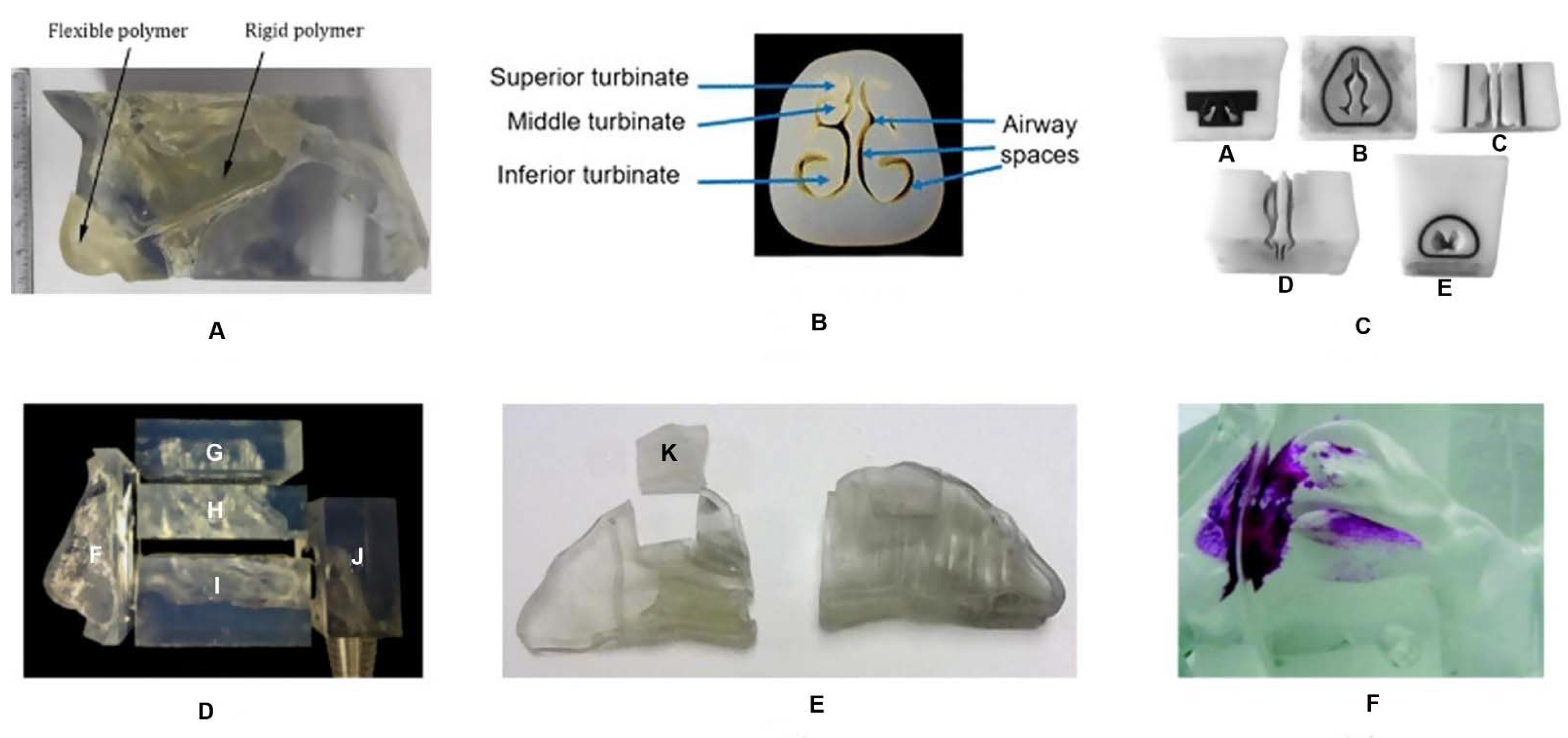 Pharmaceuticals 14 00711 g003