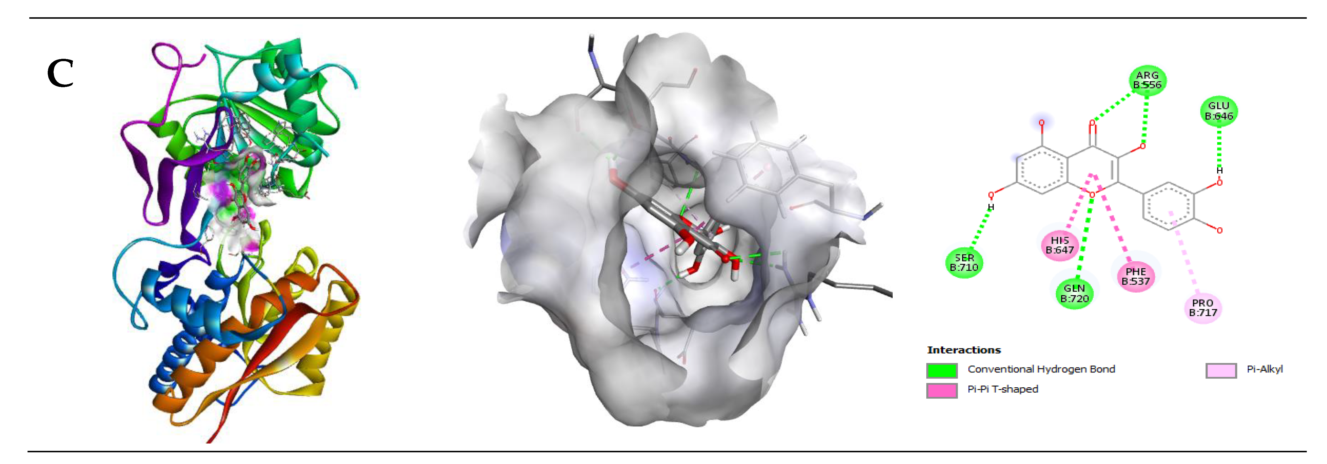 Pharmaceuticals 14 00721 g005b