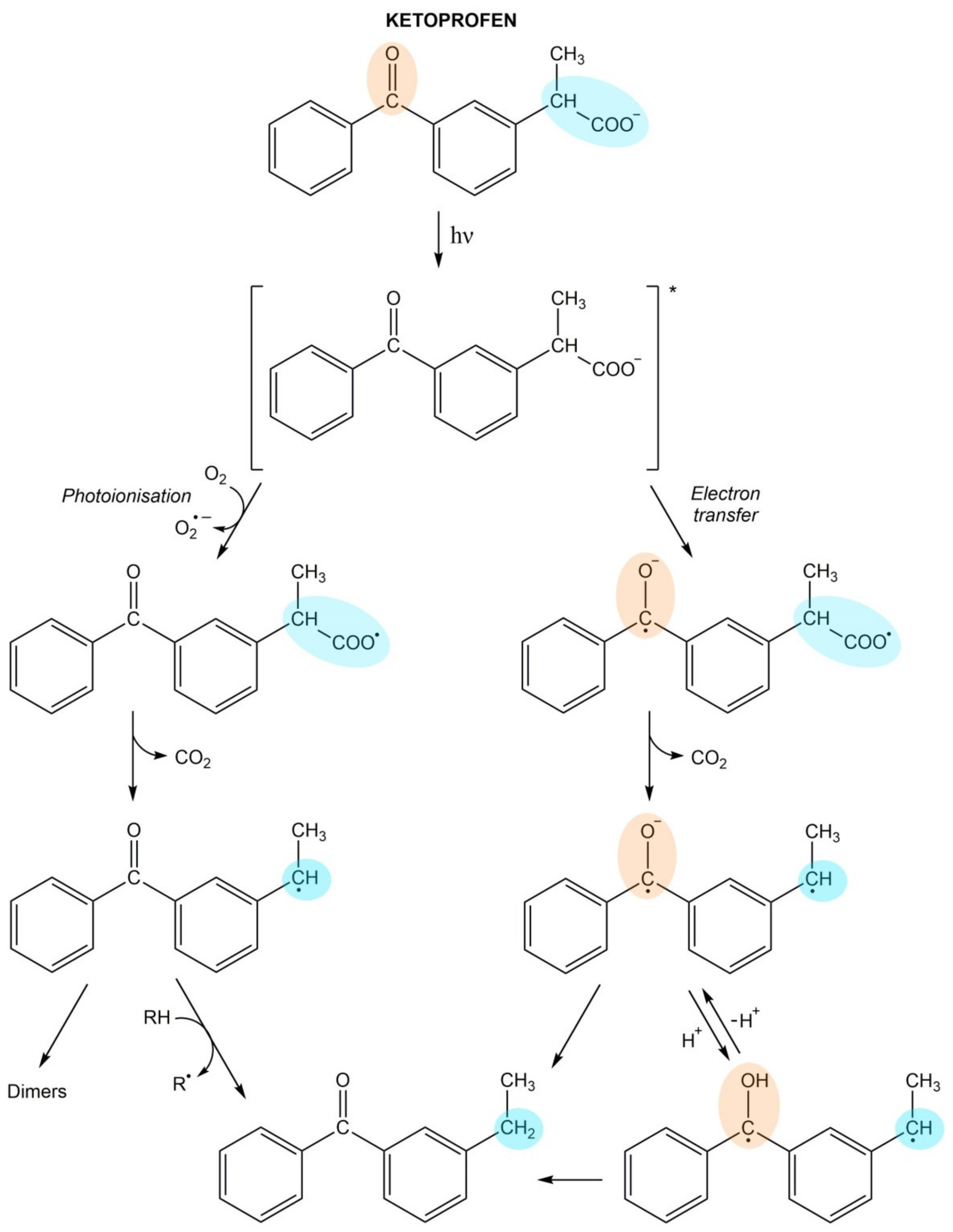 Pharmaceuticals 14 00723 g001