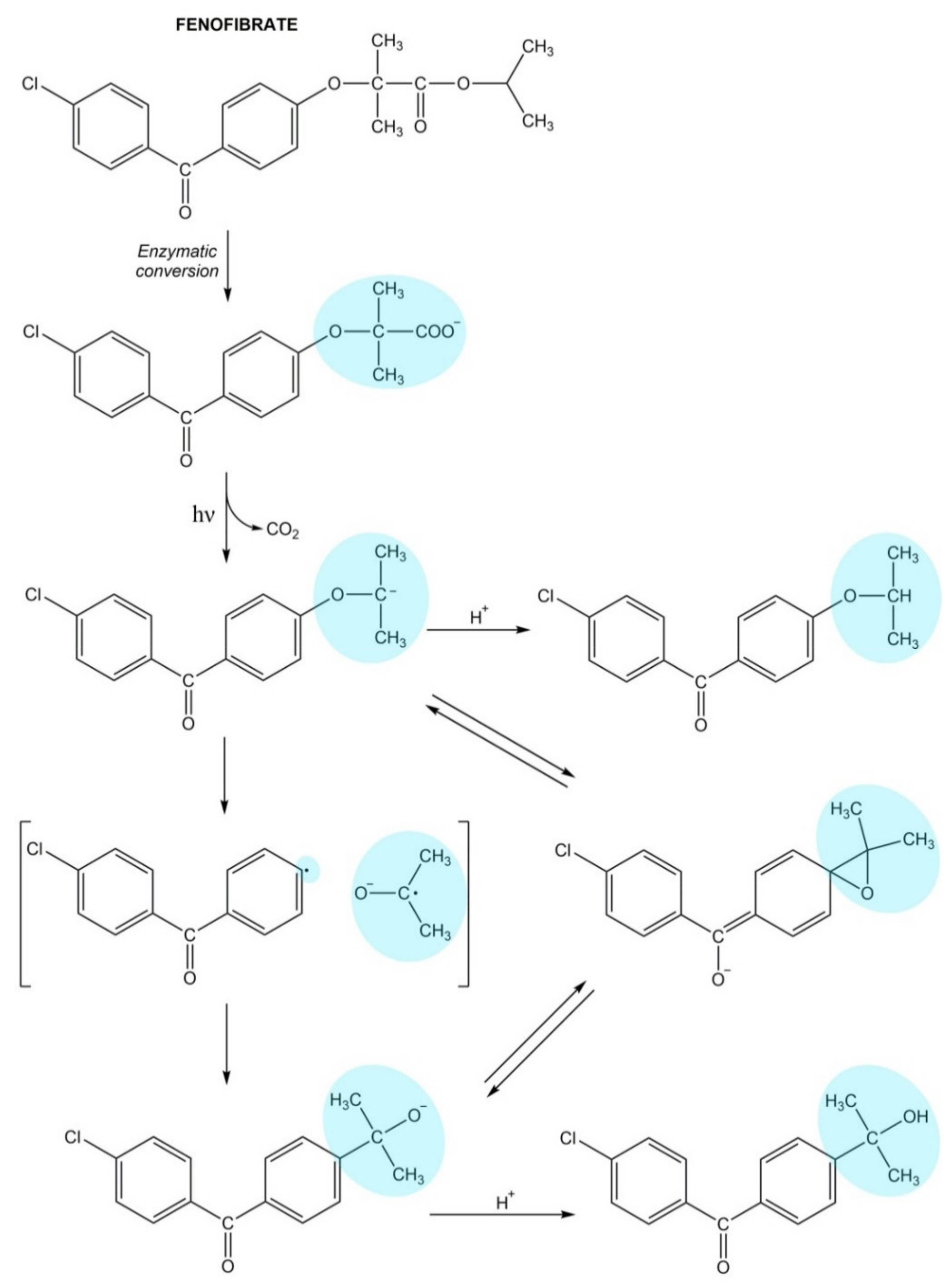 Pharmaceuticals 14 00723 g005