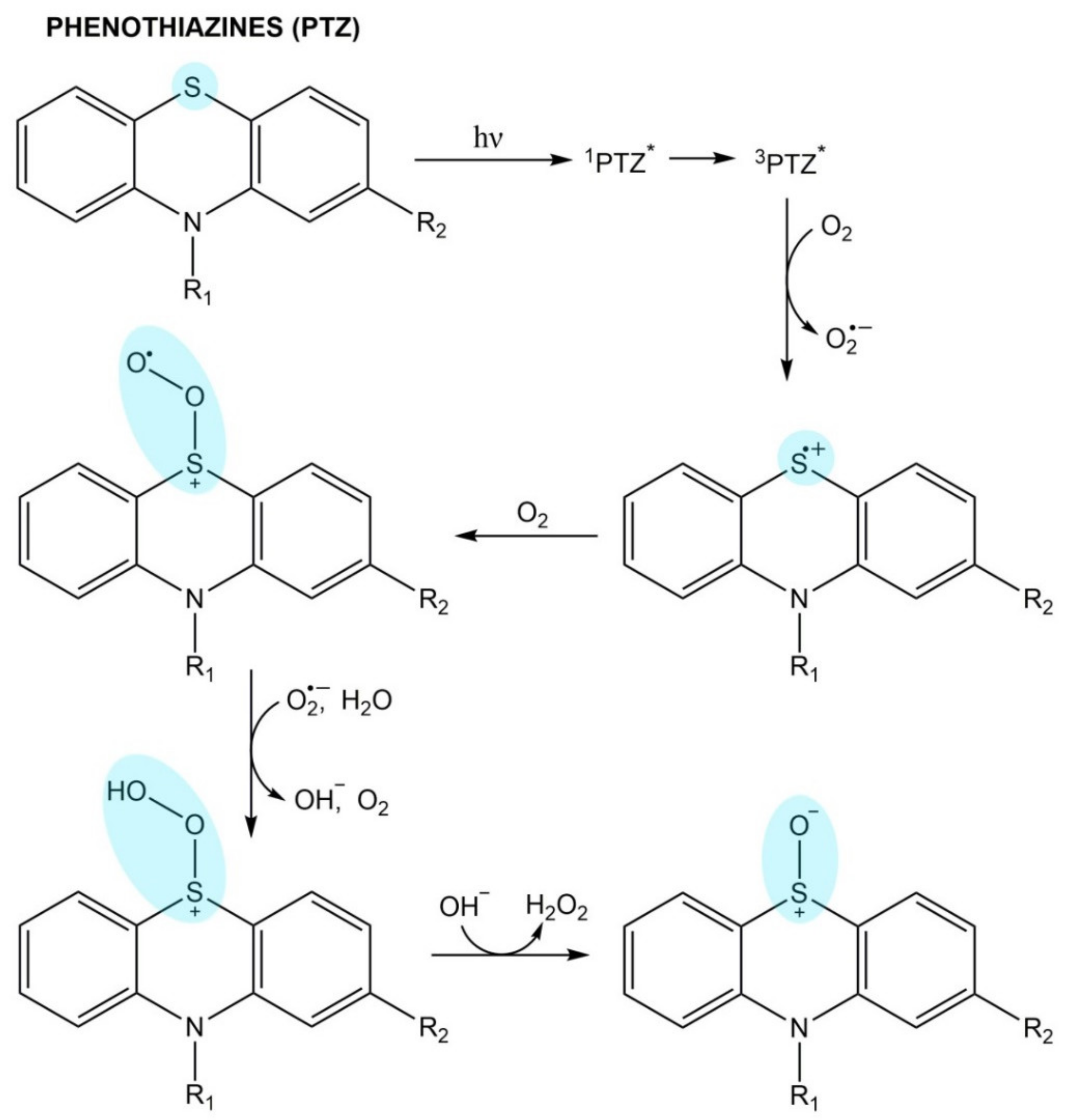 Pharmaceuticals 14 00723 g006