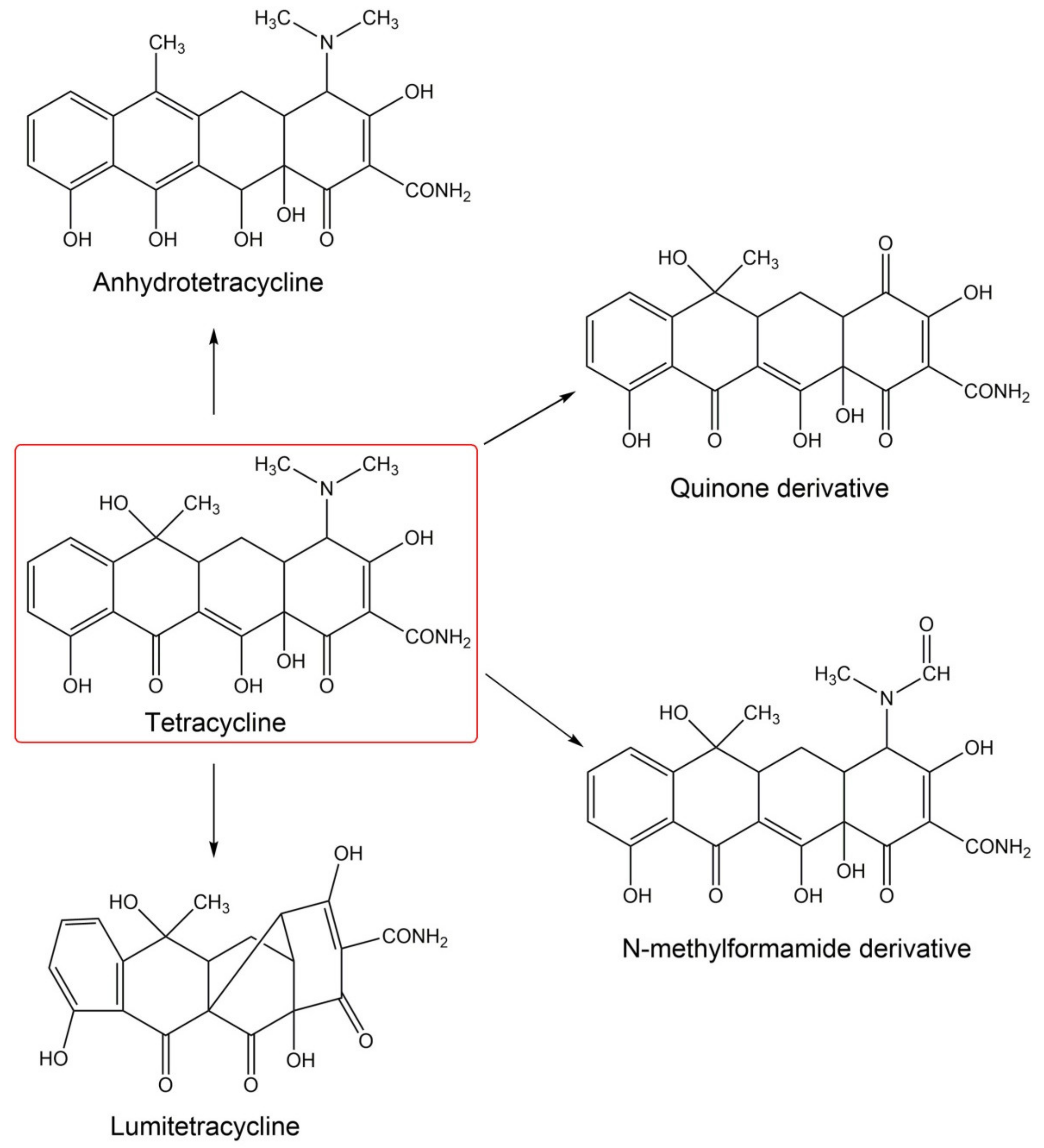 Pharmaceuticals 14 00723 g009