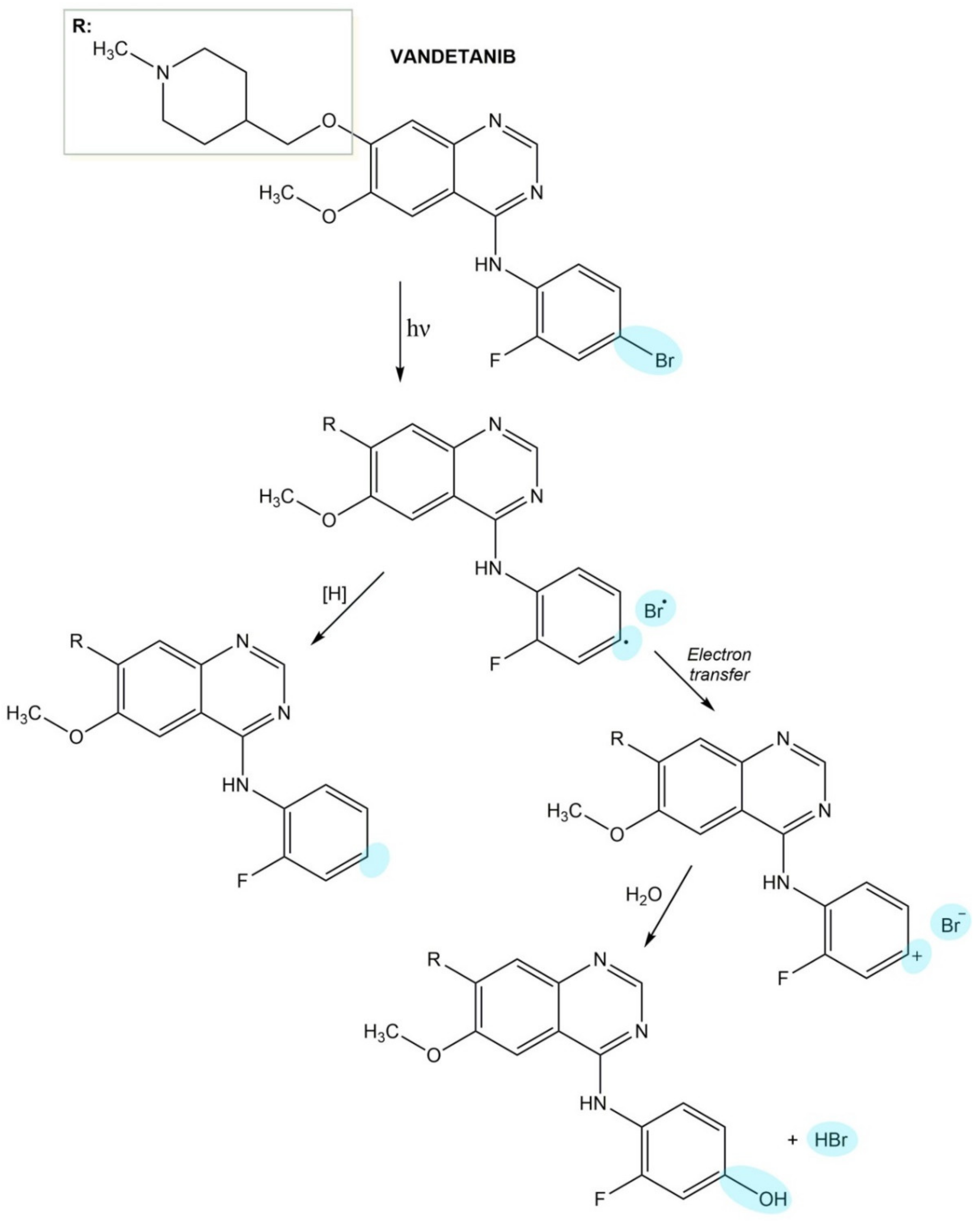 Pharmaceuticals 14 00723 g010