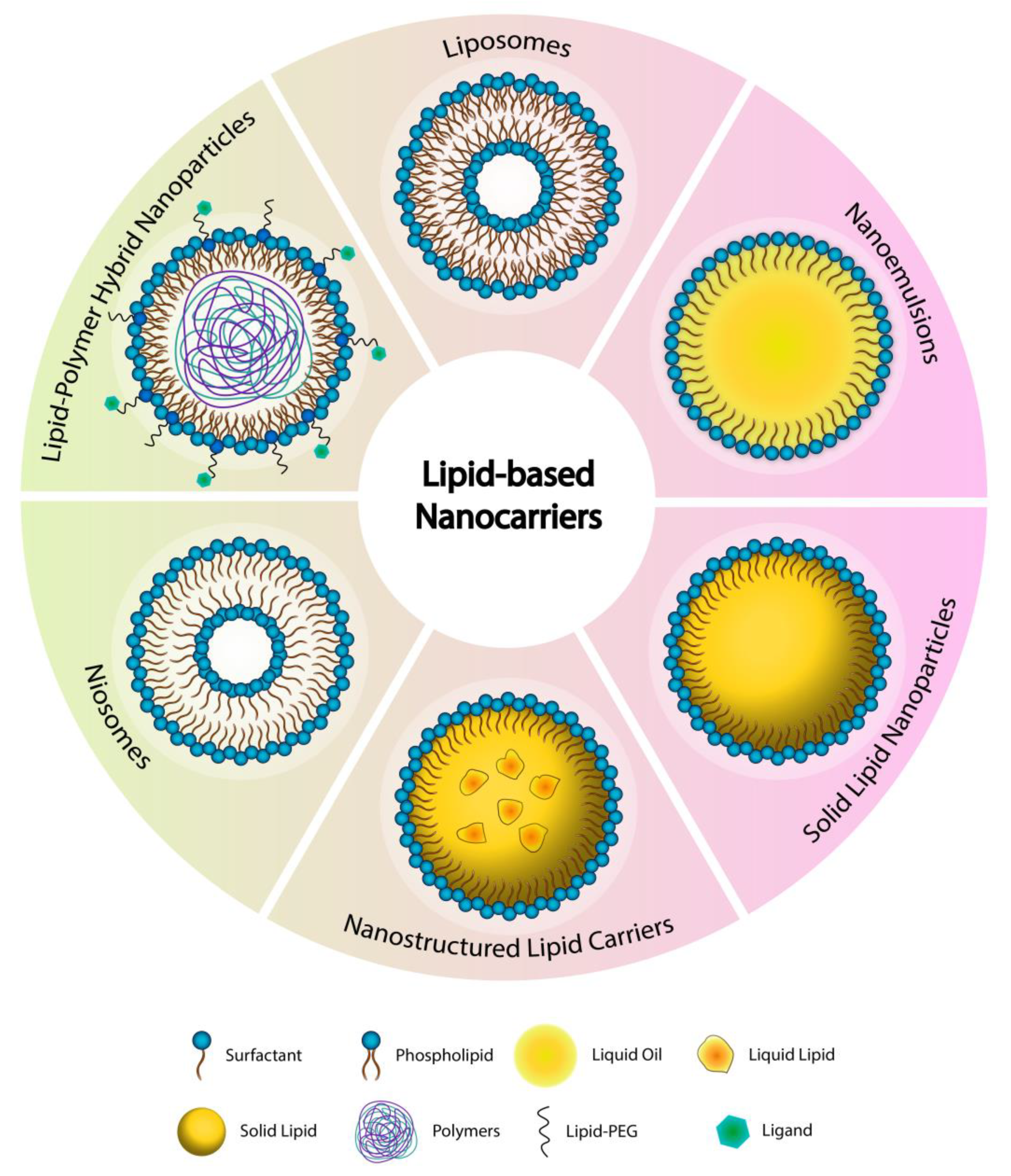 Pharmaceuticals 14 00725 g002 Pharmaceuticals 14 00725 g002