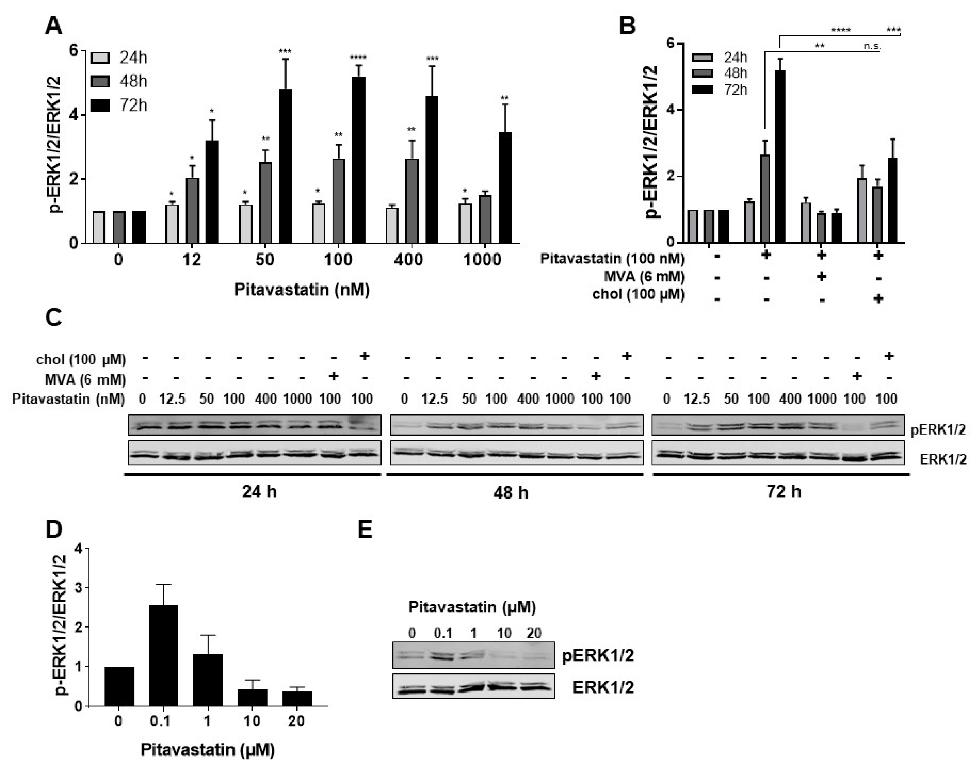 Pharmaceuticals 14 00727 g004 Pharmaceuticals 14 00727 g004