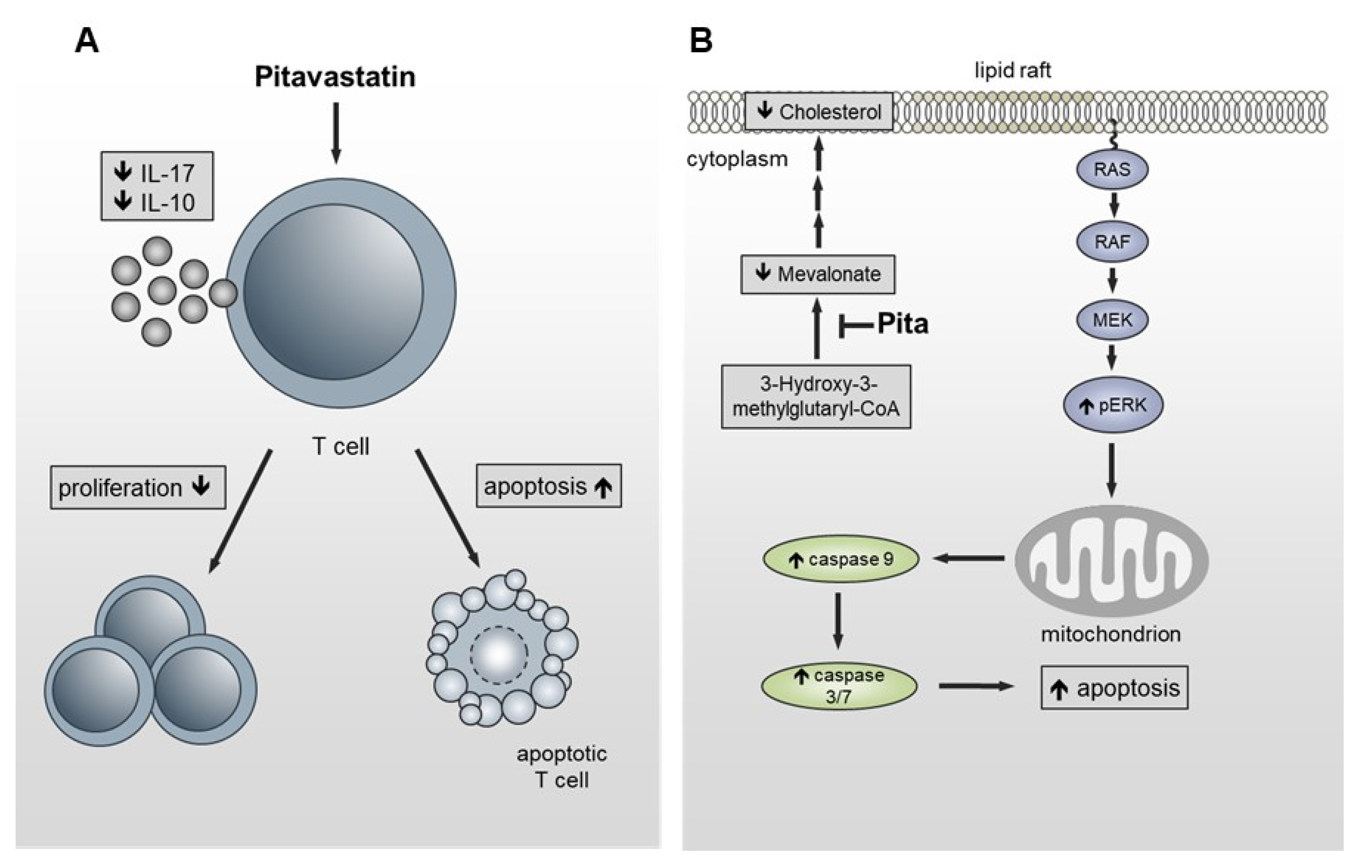 Pharmaceuticals 14 00727 g007 Pharmaceuticals 14 00727 g007
