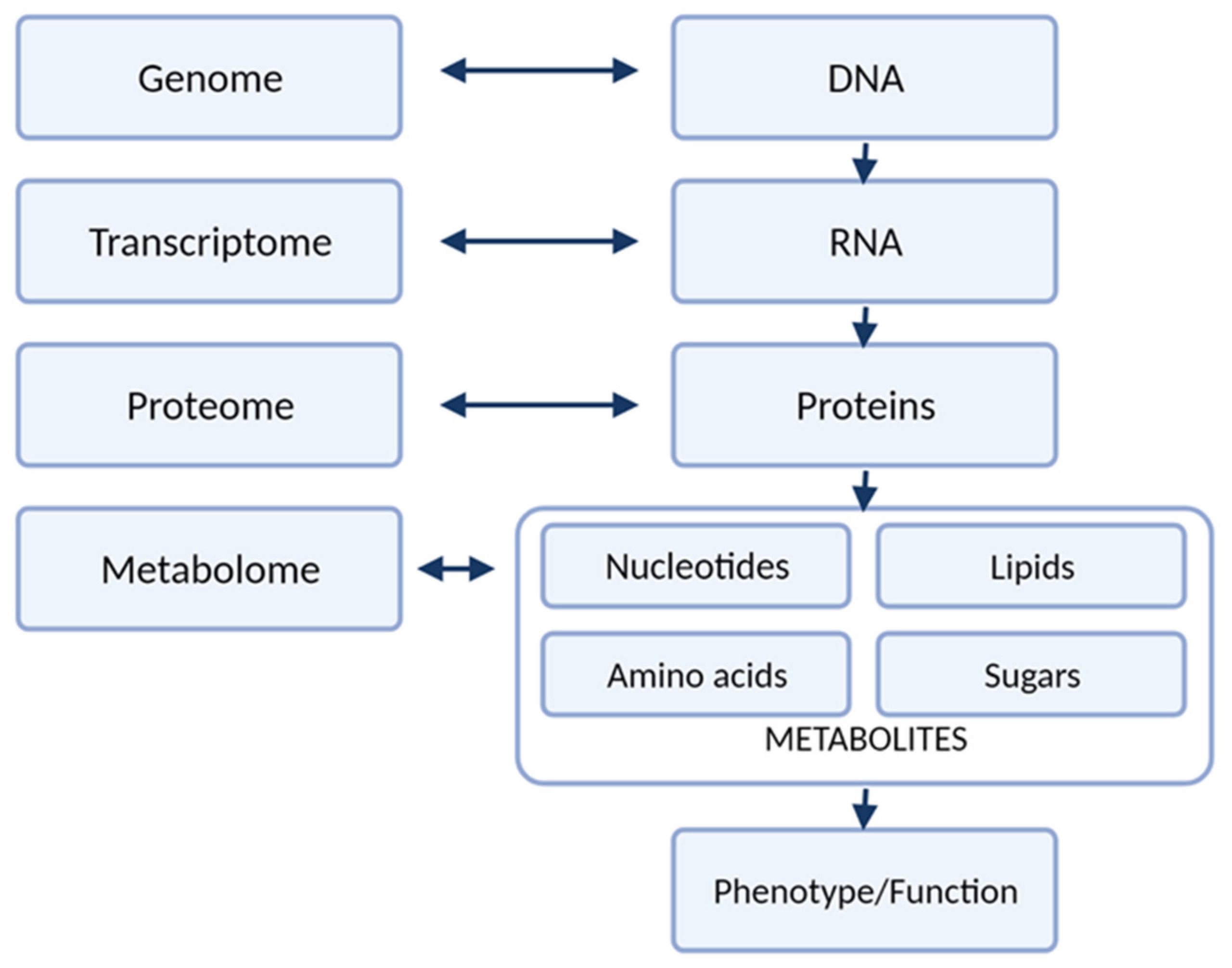 Pharmaceuticals 14 00731 g001 Pharmaceuticals 14 00731 g001