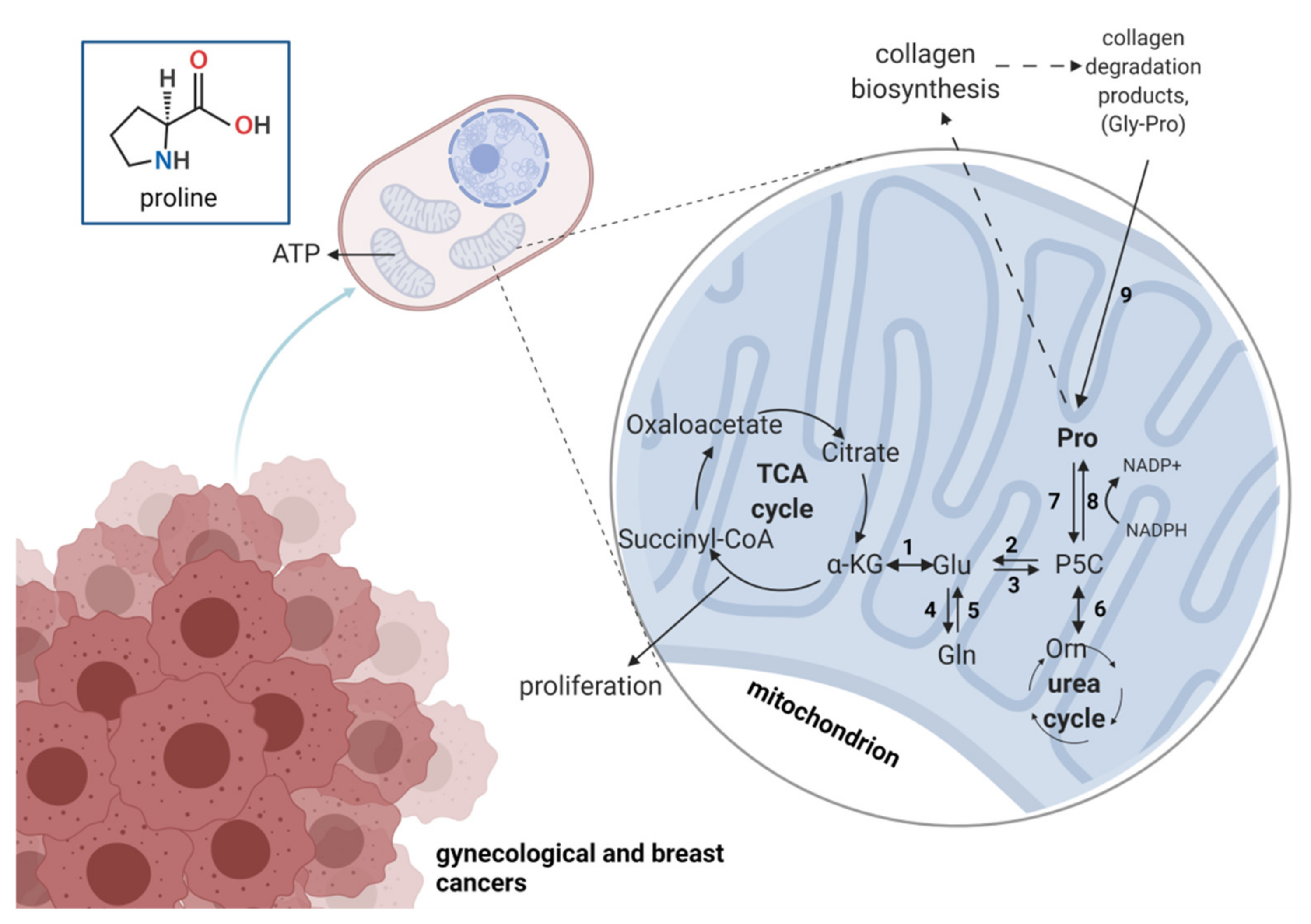 Pharmaceuticals 14 00731 g005 Pharmaceuticals 14 00731 g005