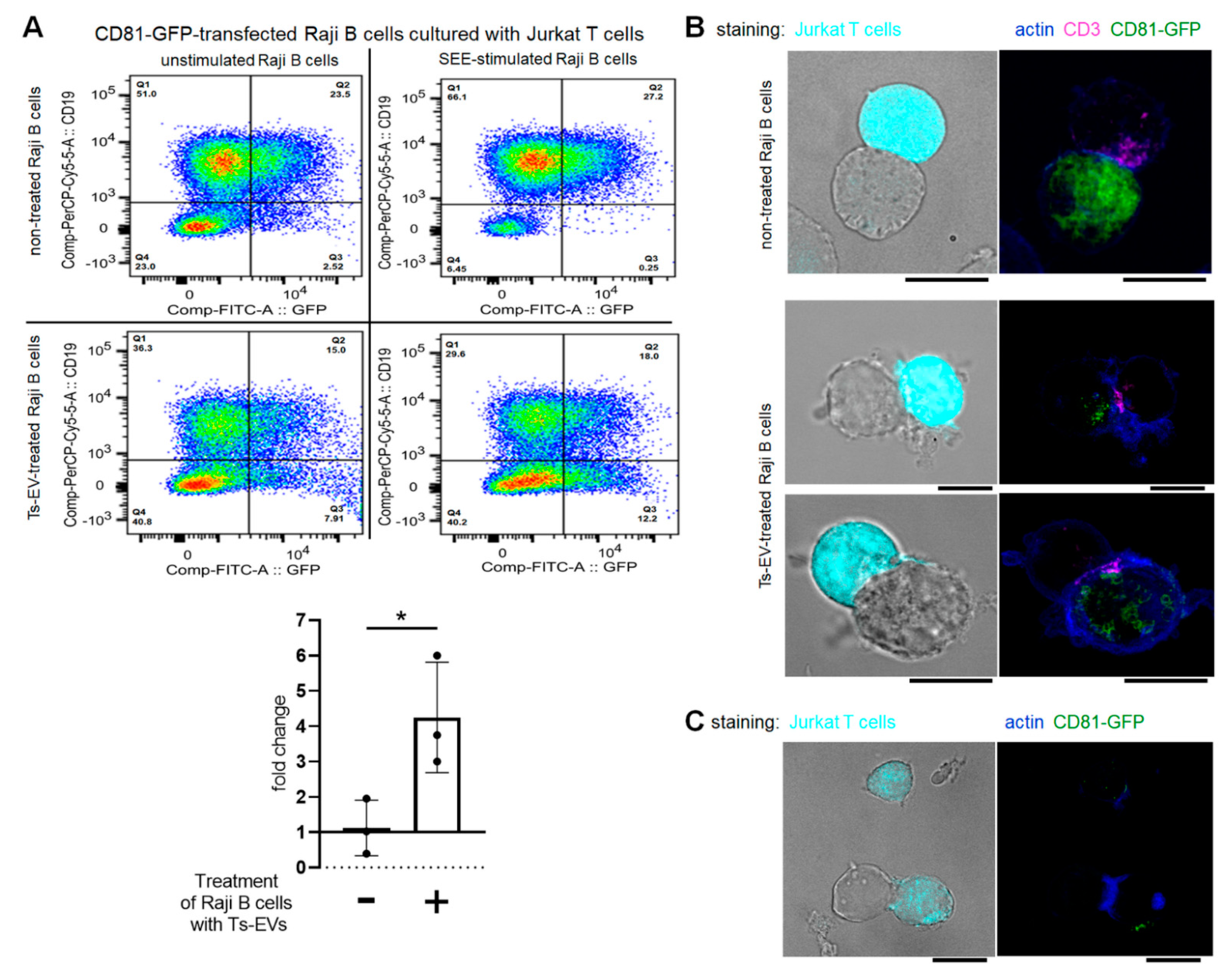 Pharmaceuticals 14 00734 g003 550