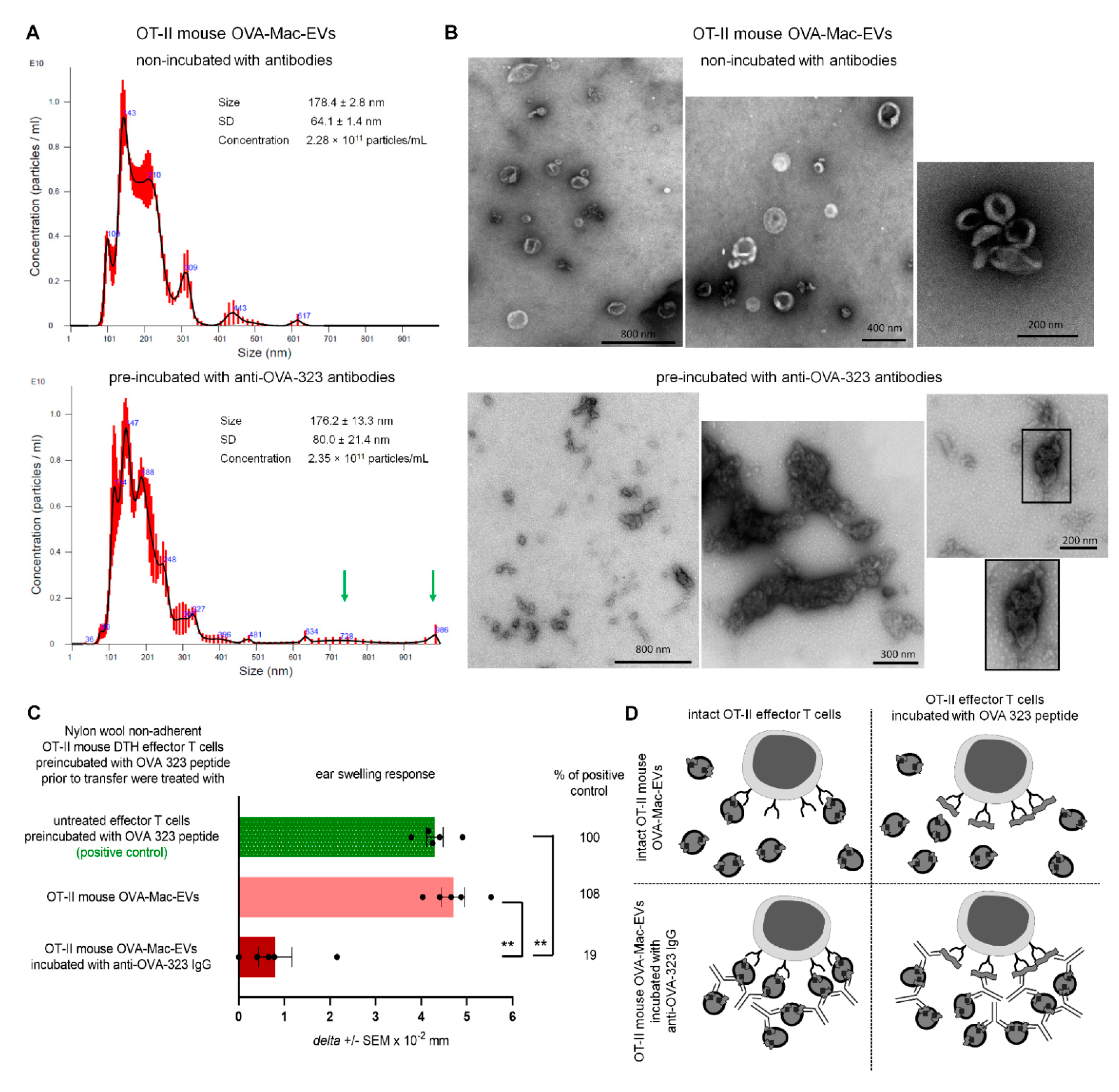 Pharmaceuticals 14 00734 g006 550