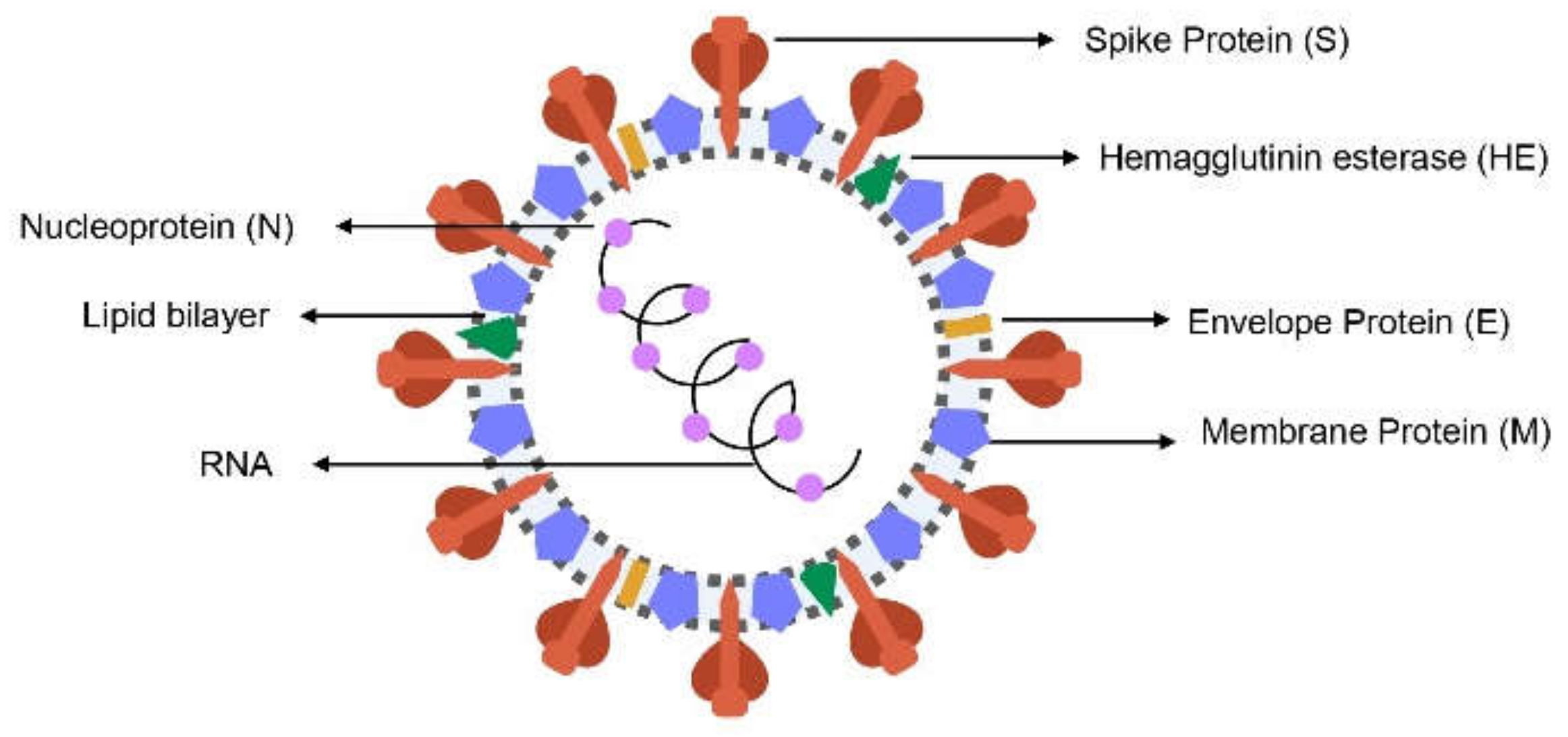Pharmaceuticals 14 00736 g001
