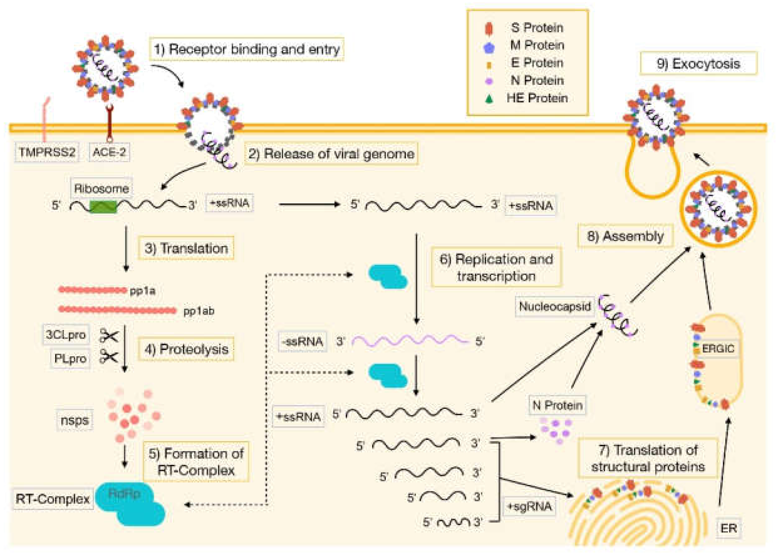 Pharmaceuticals 14 00736 g002