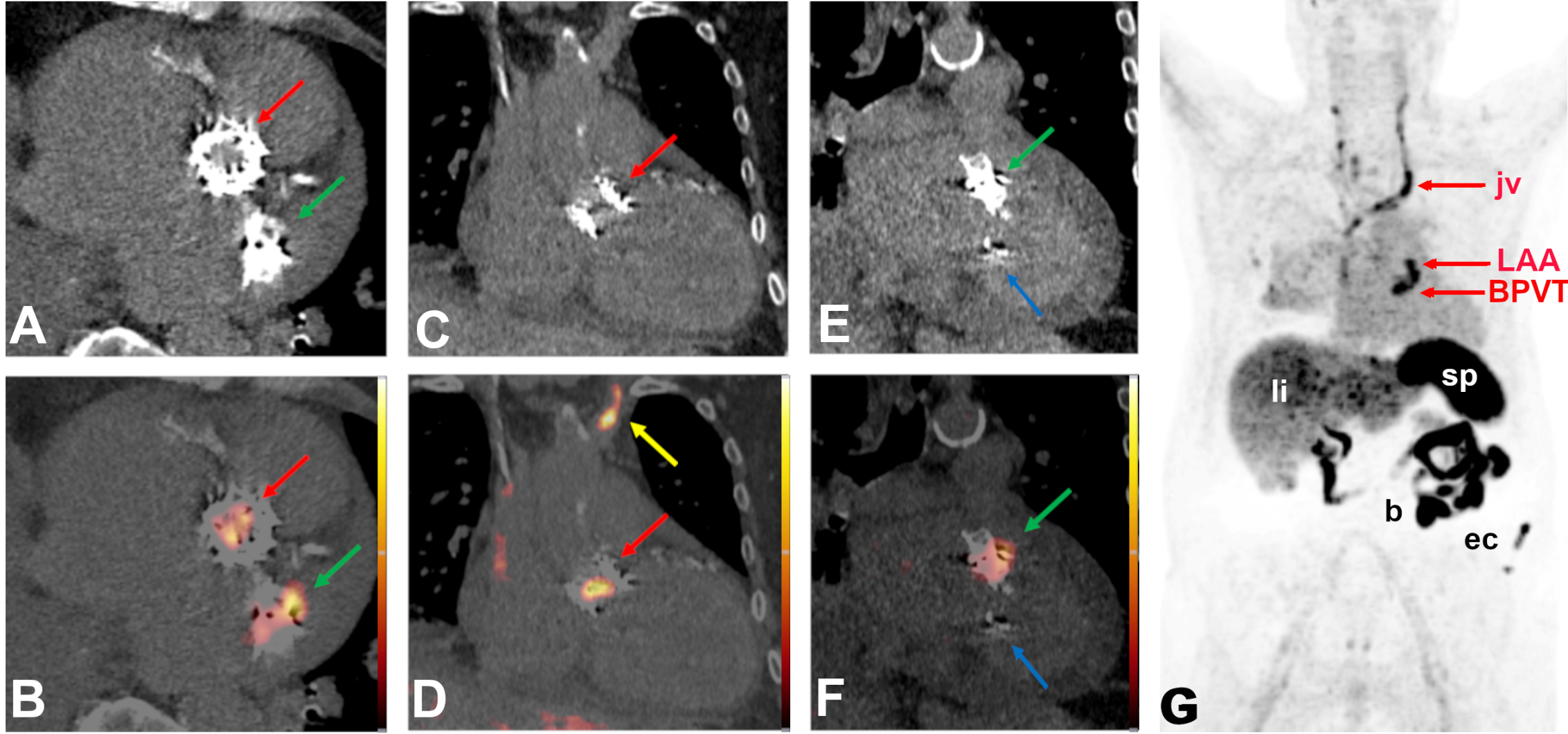 Pharmaceuticals 14 00739 g001 550