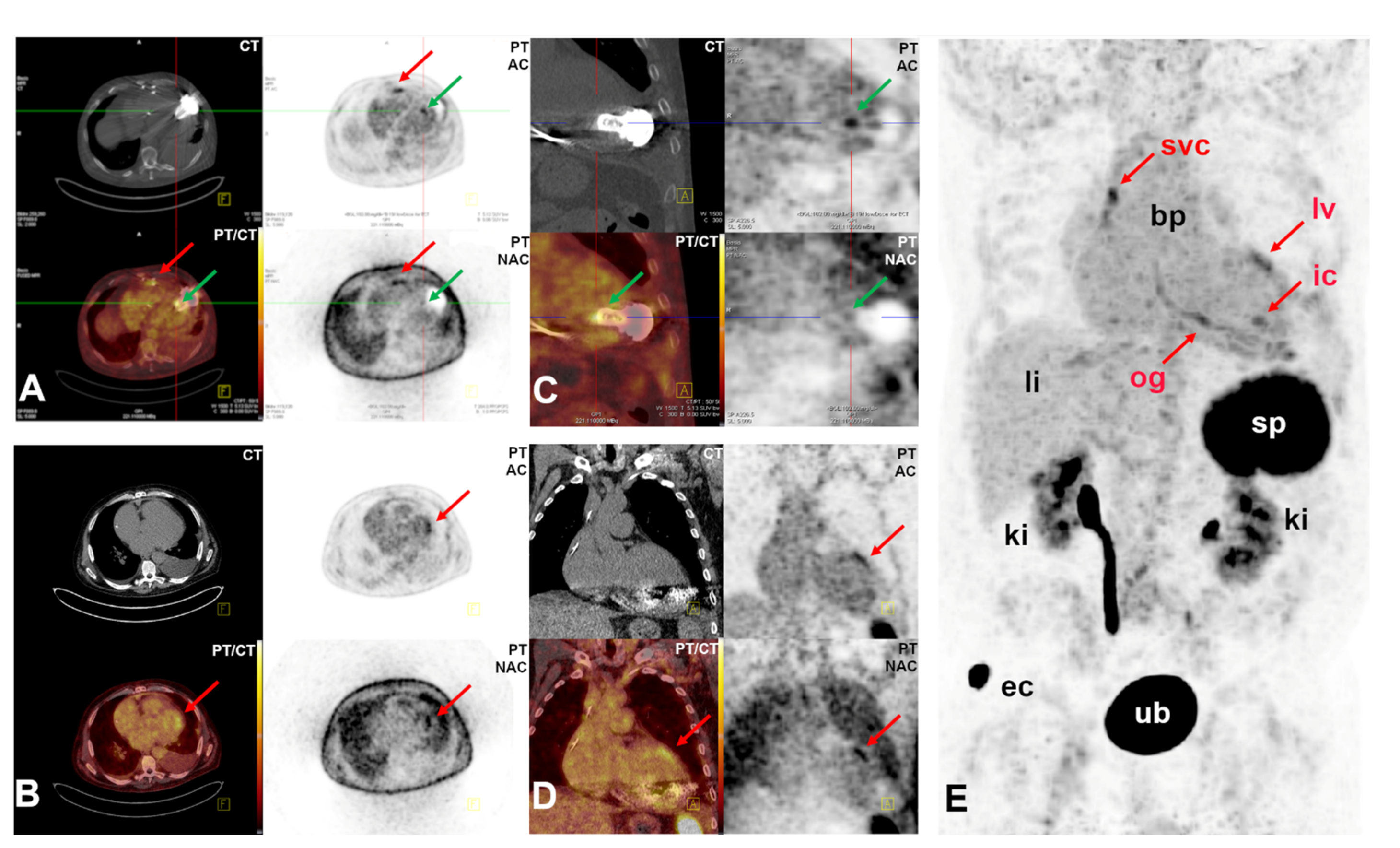 Pharmaceuticals 14 00739 g002 550