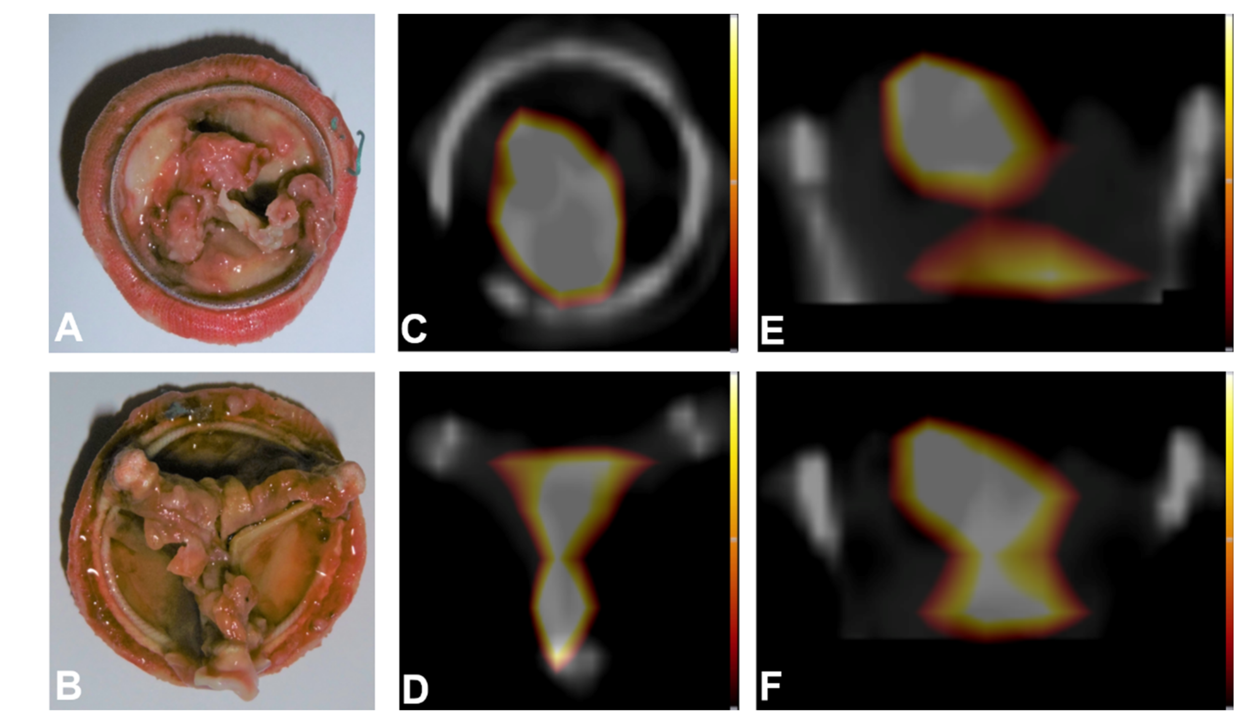 Pharmaceuticals 14 00739 g003 550