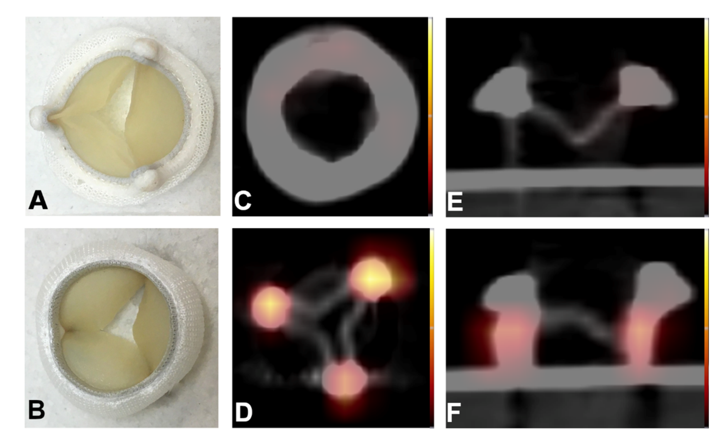 Pharmaceuticals 14 00739 g004 550