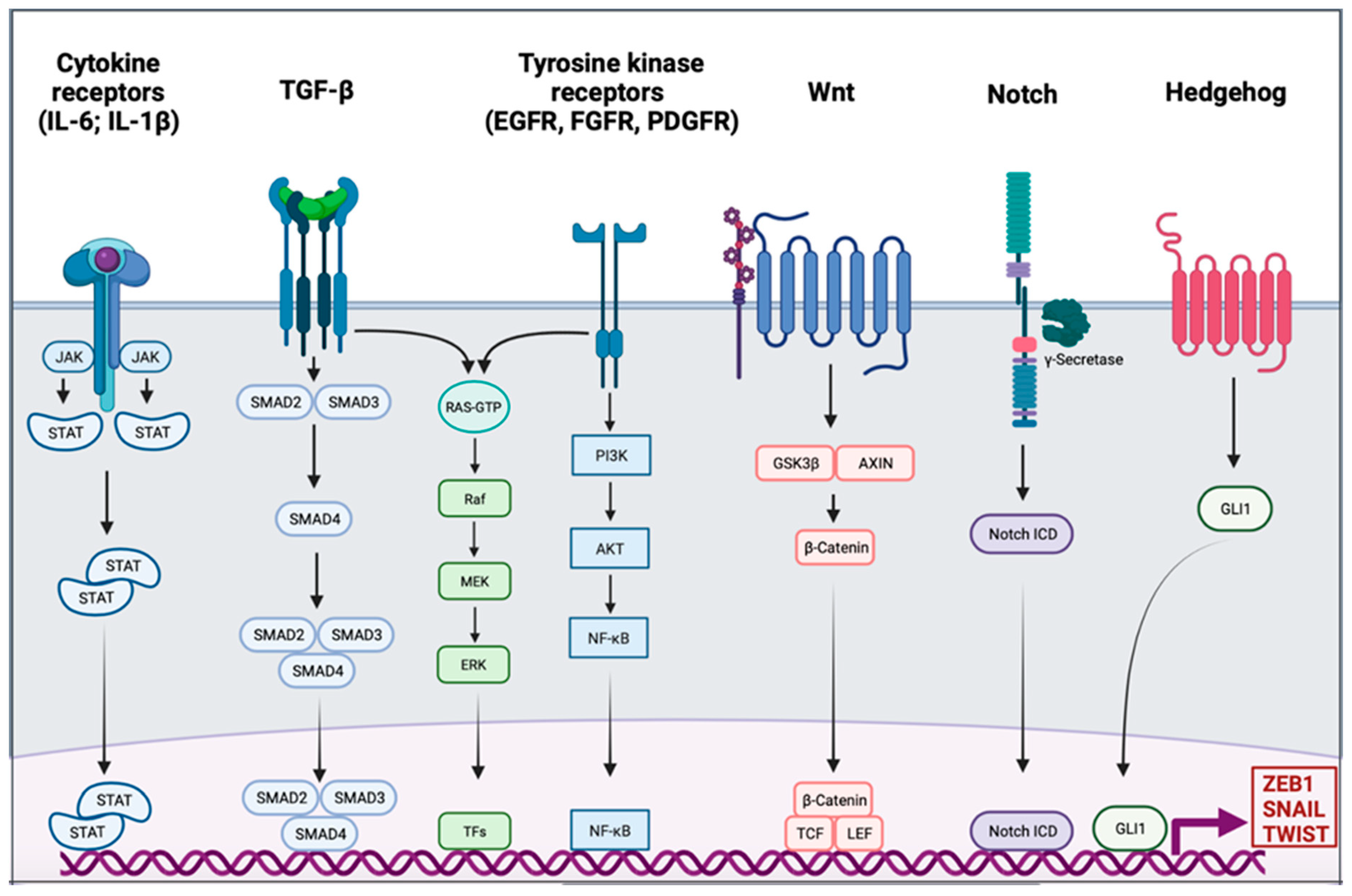 Pharmaceuticals 14 00740 g001