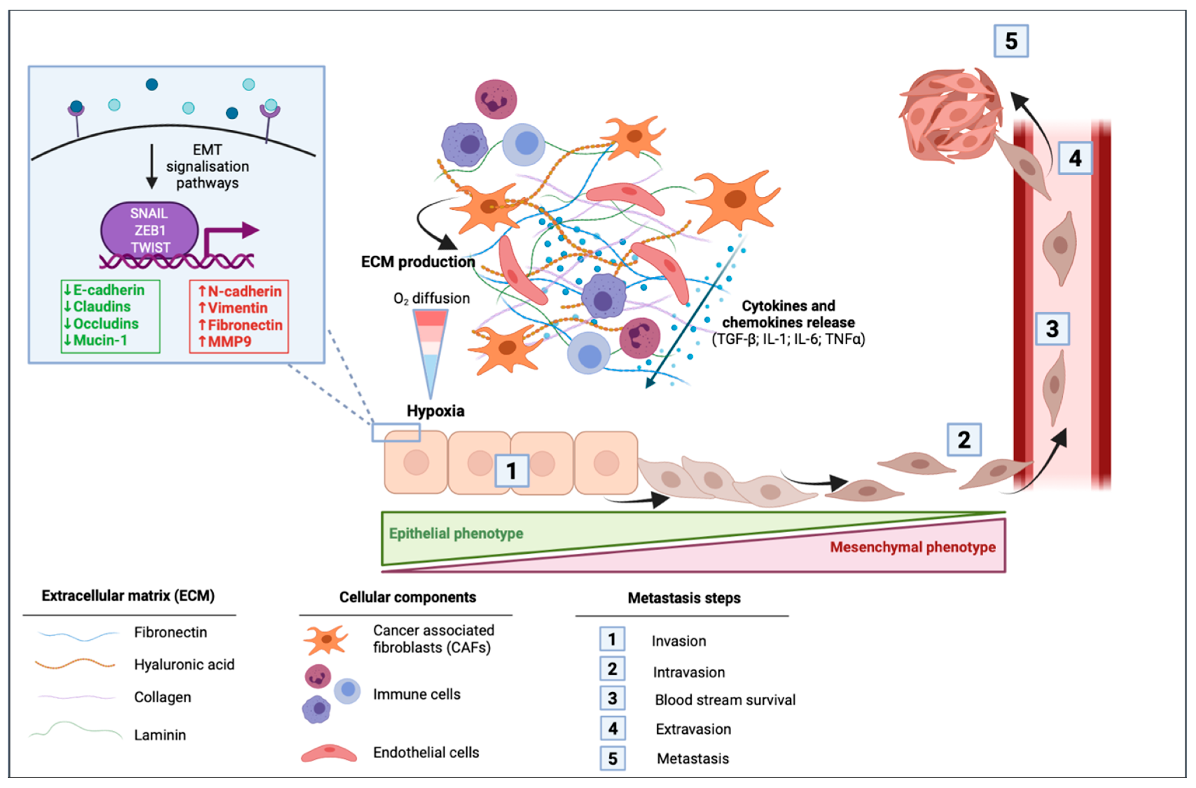 Pharmaceuticals 14 00740 g002