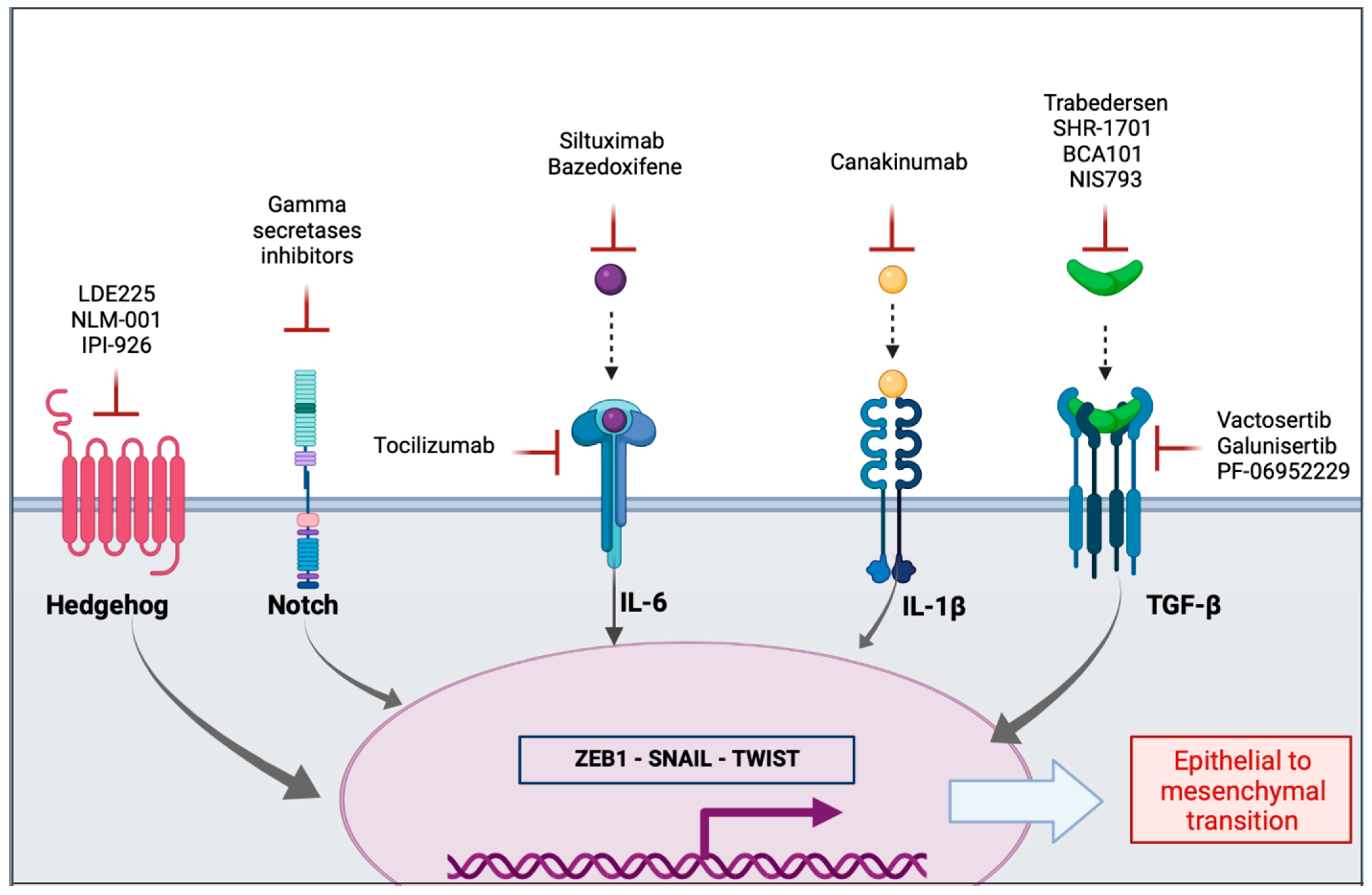 Pharmaceuticals 14 00740 g003