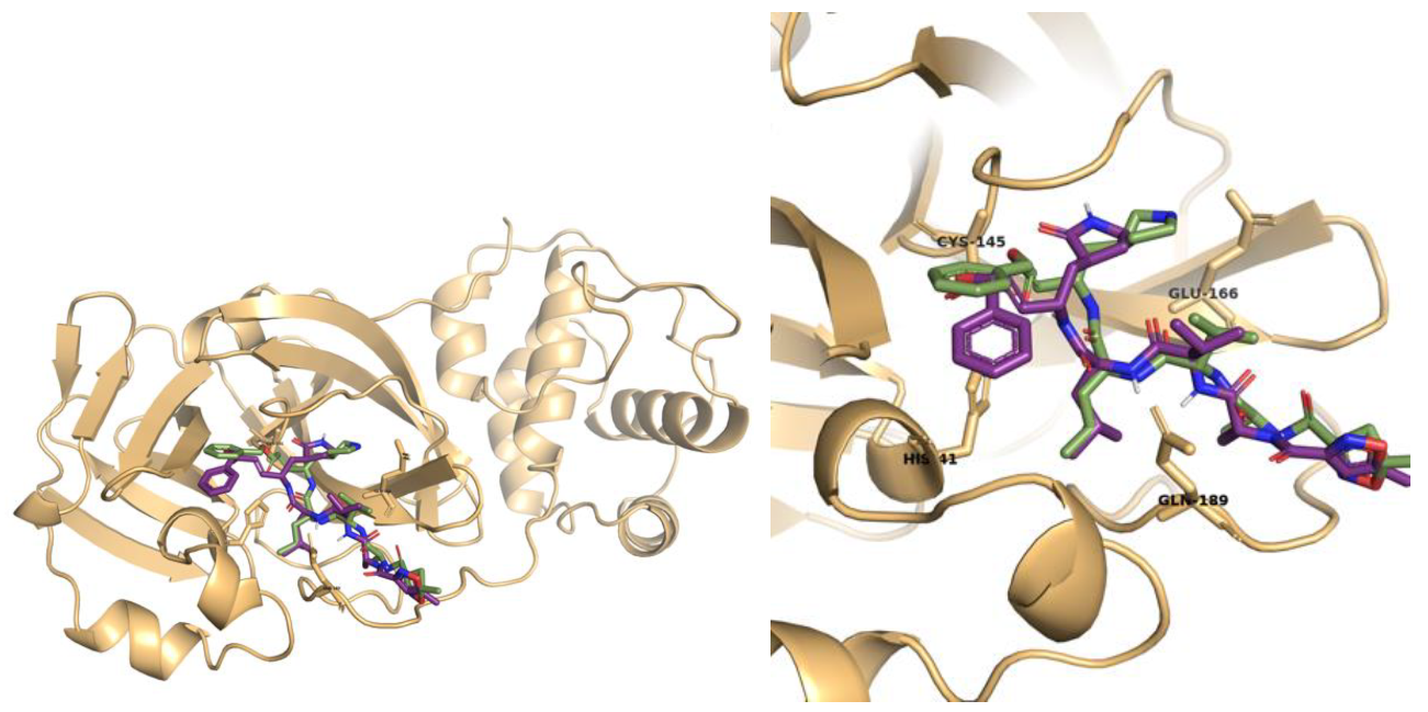 Pharmaceuticals 14 00742 g001