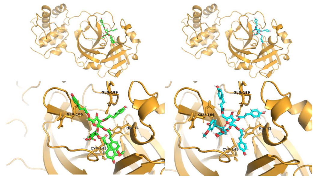 Pharmaceuticals 14 00742 g003