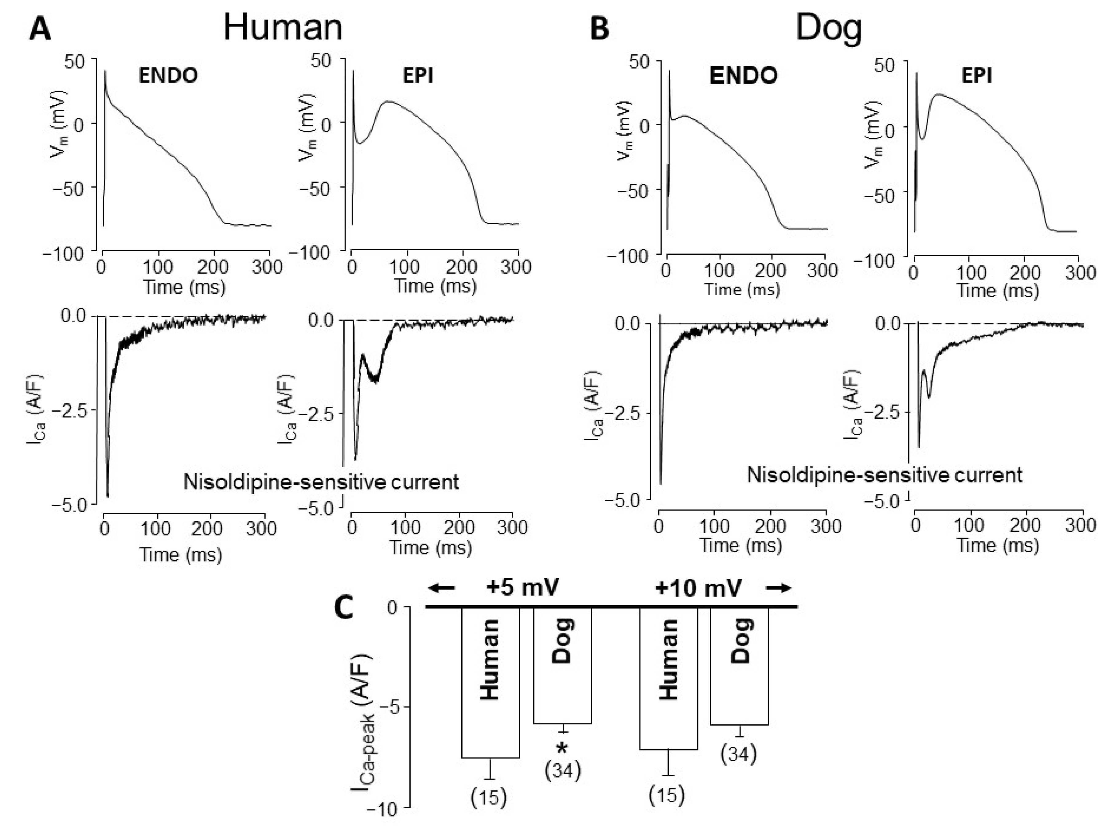 Pharmaceuticals 14 00748 g002