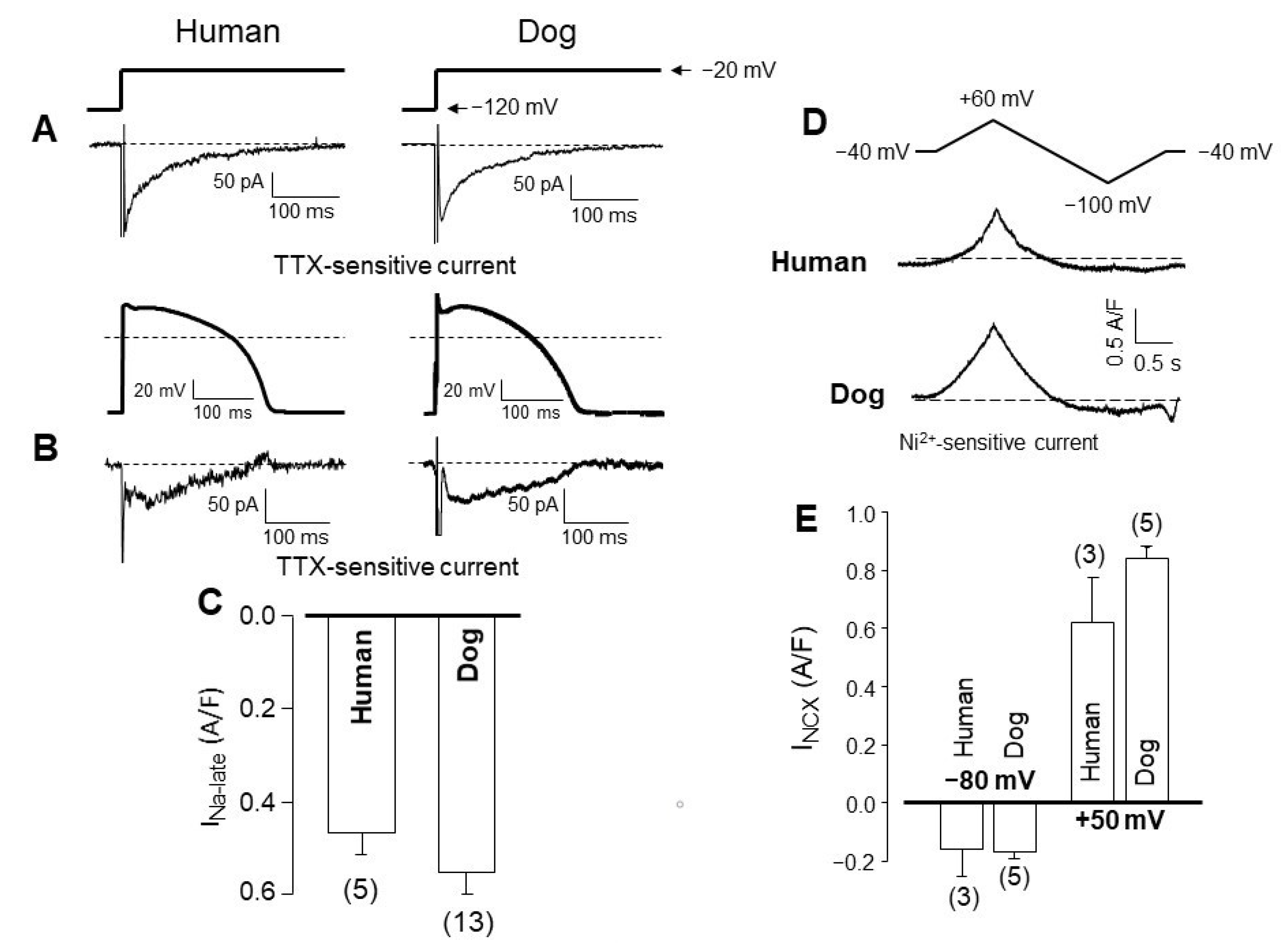 Pharmaceuticals 14 00748 g004