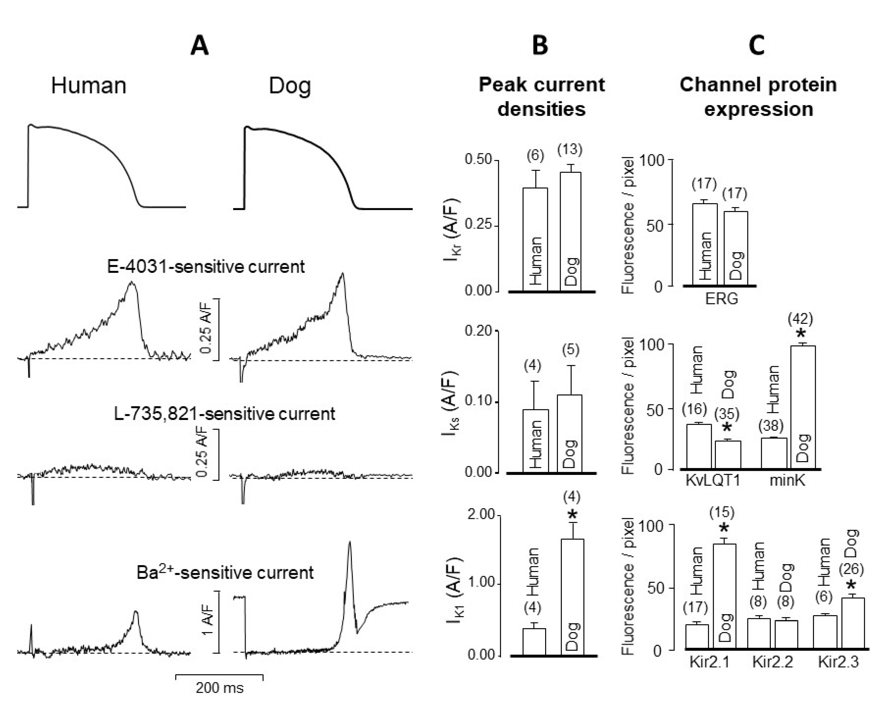 Pharmaceuticals 14 00748 g005
