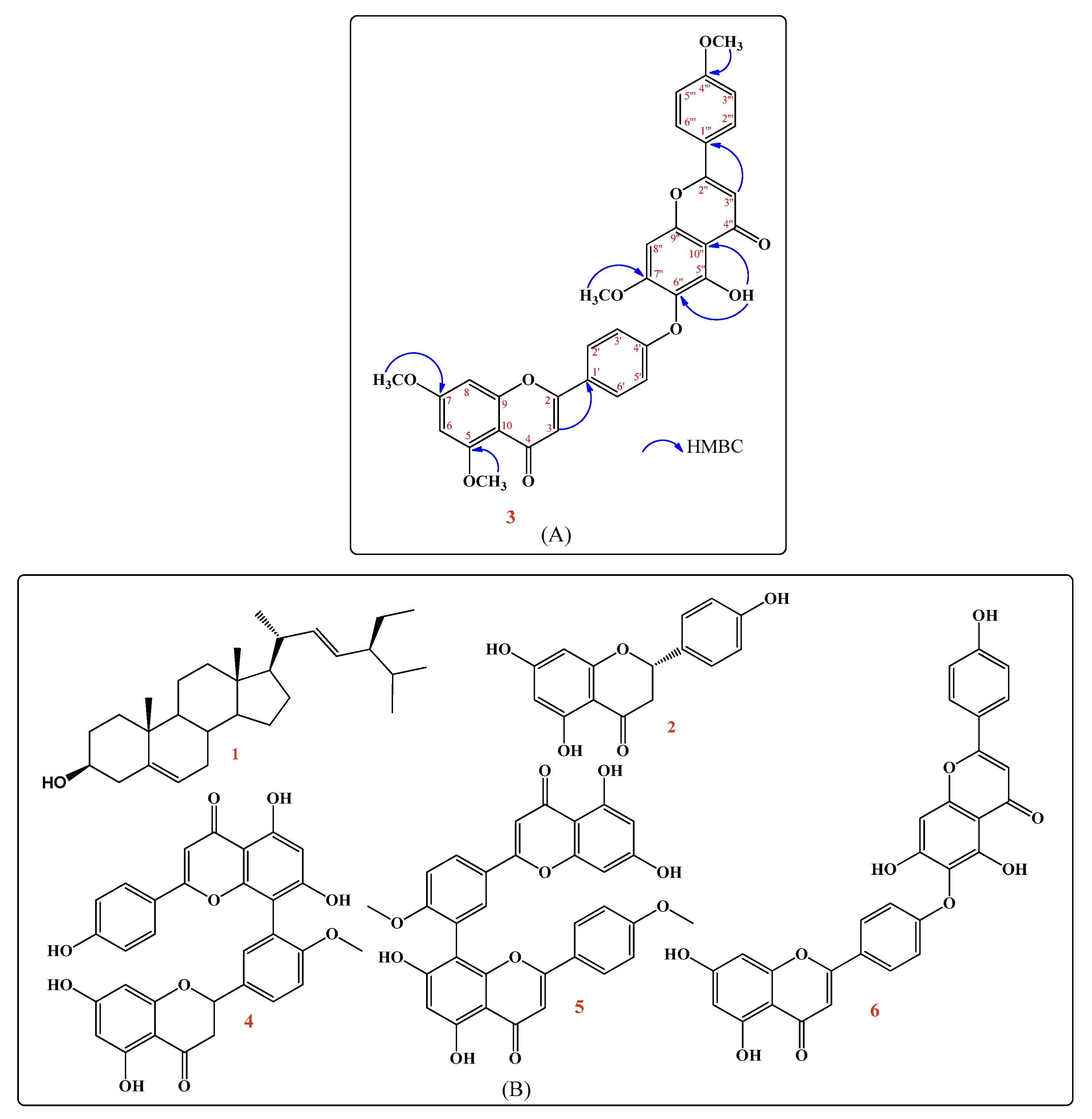 Pharmaceuticals 14 00756 g001