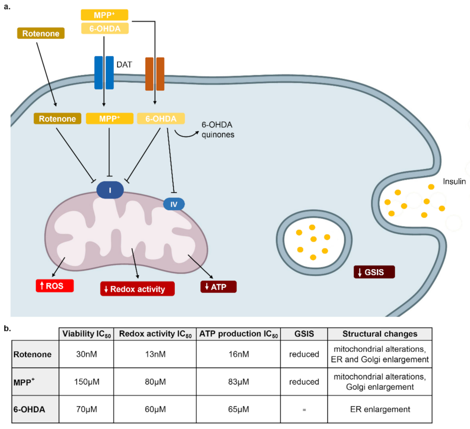 Pharmaceuticals 14 00767 g006