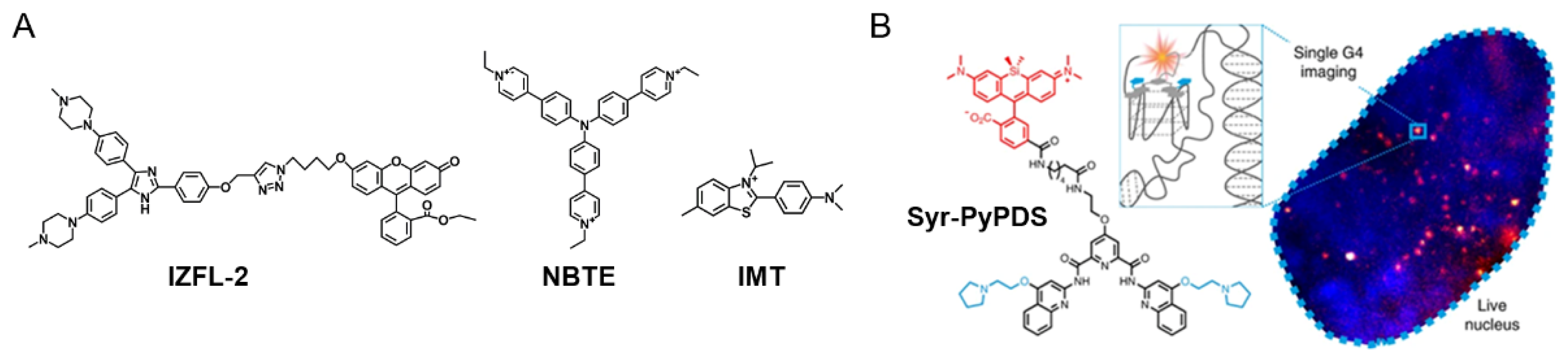 Pharmaceuticals 14 00769 g005 550