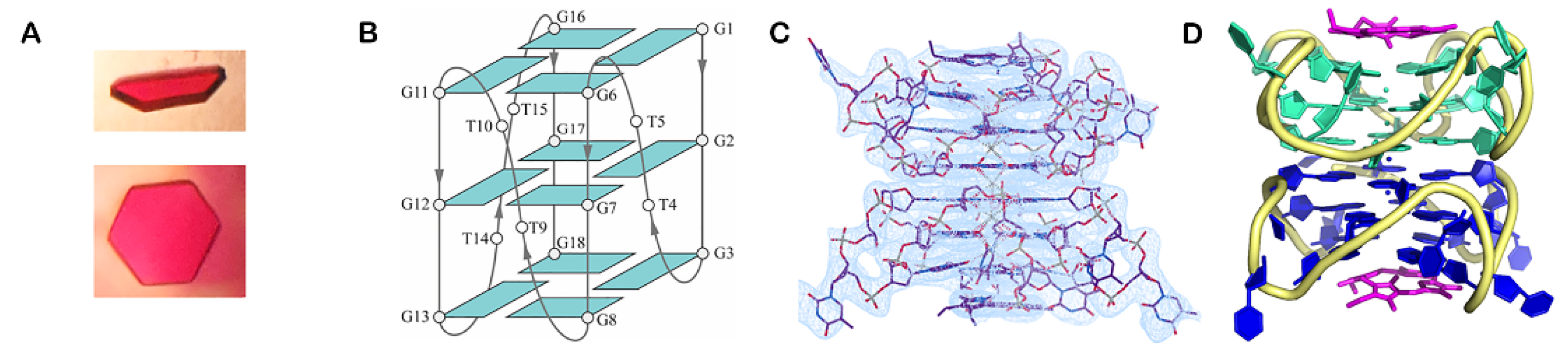 Pharmaceuticals 14 00769 g015 550