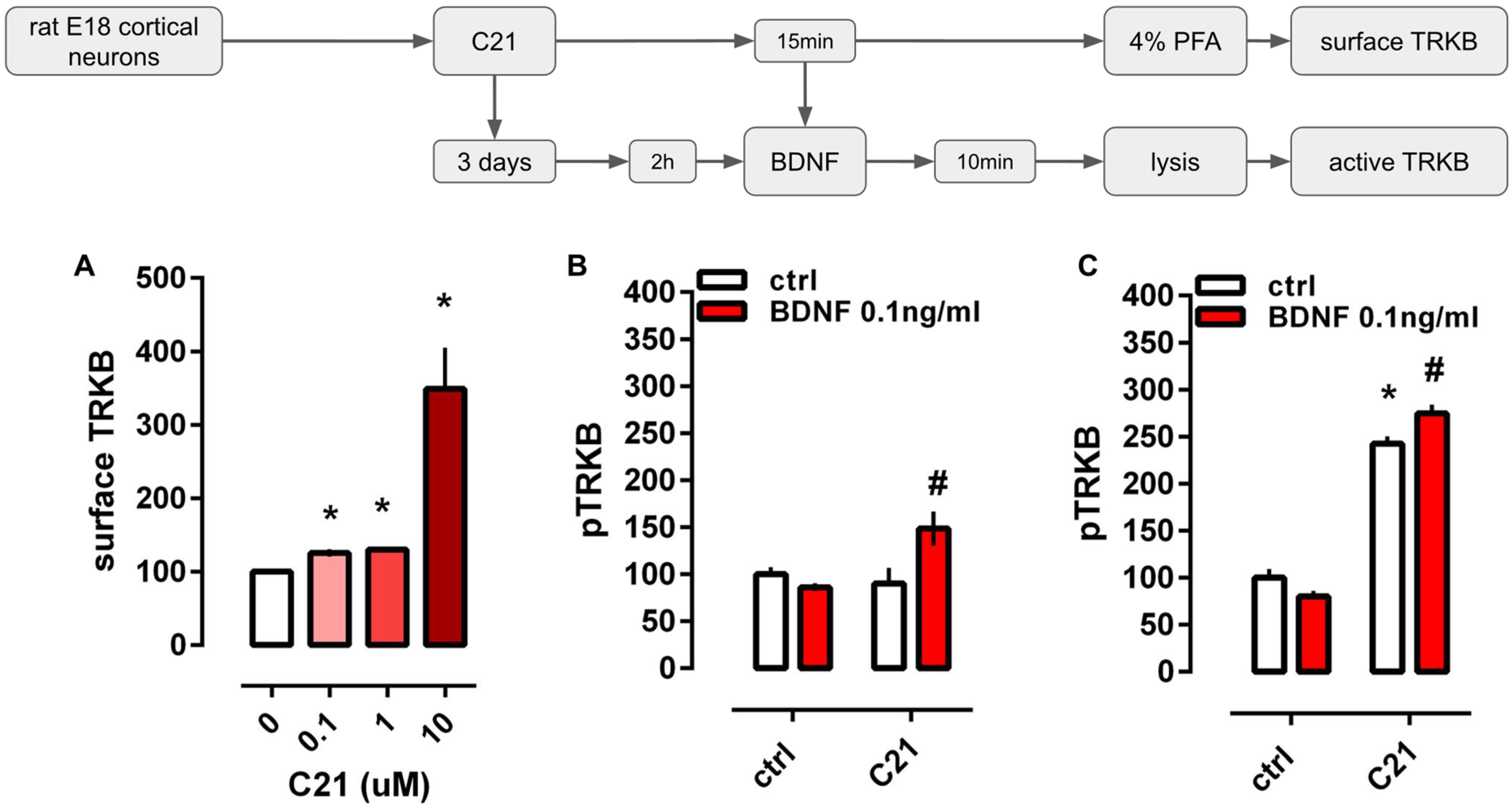 Pharmaceuticals 14 00773 g001