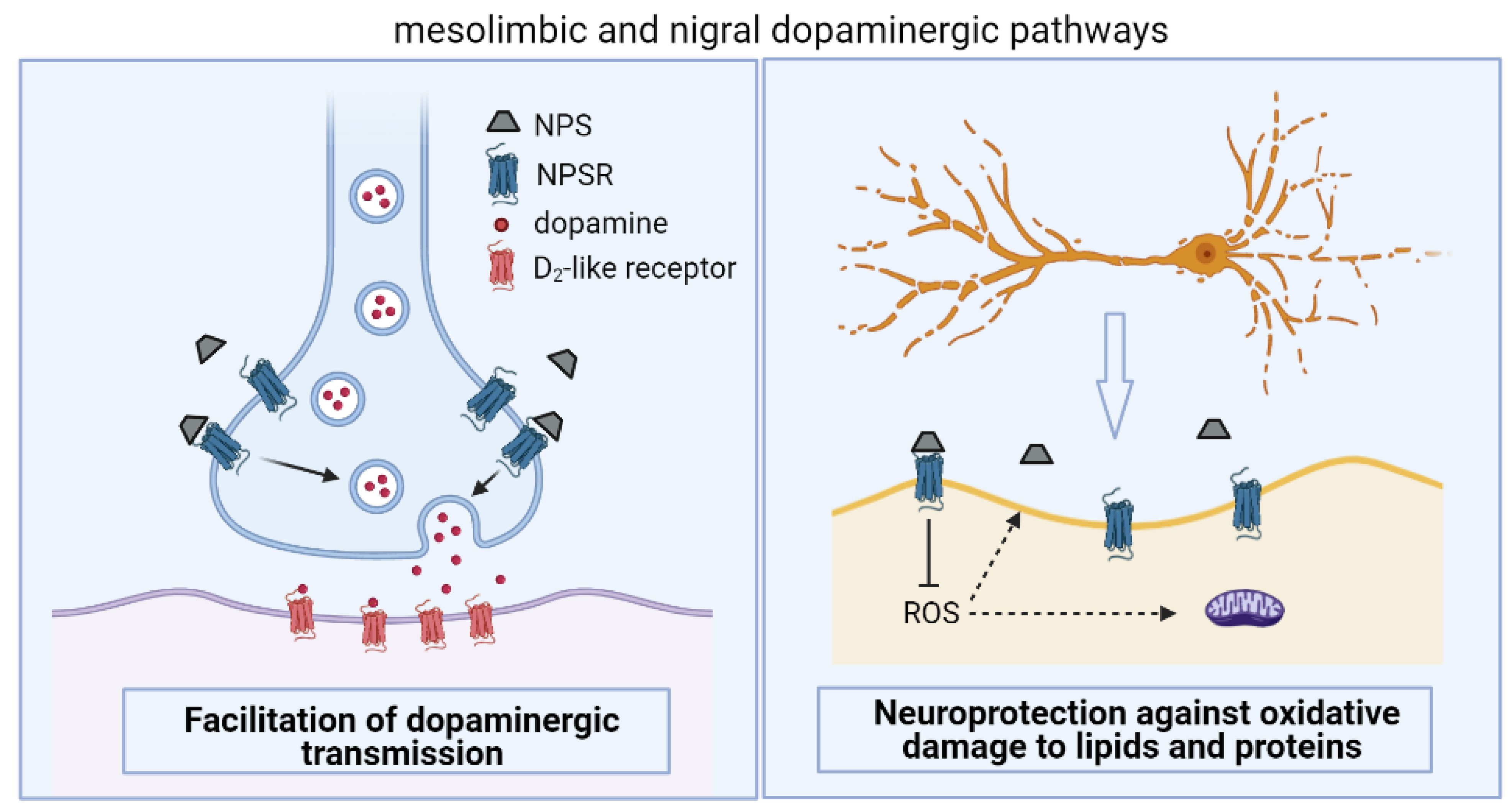 Pharmaceuticals 14 00775 g002