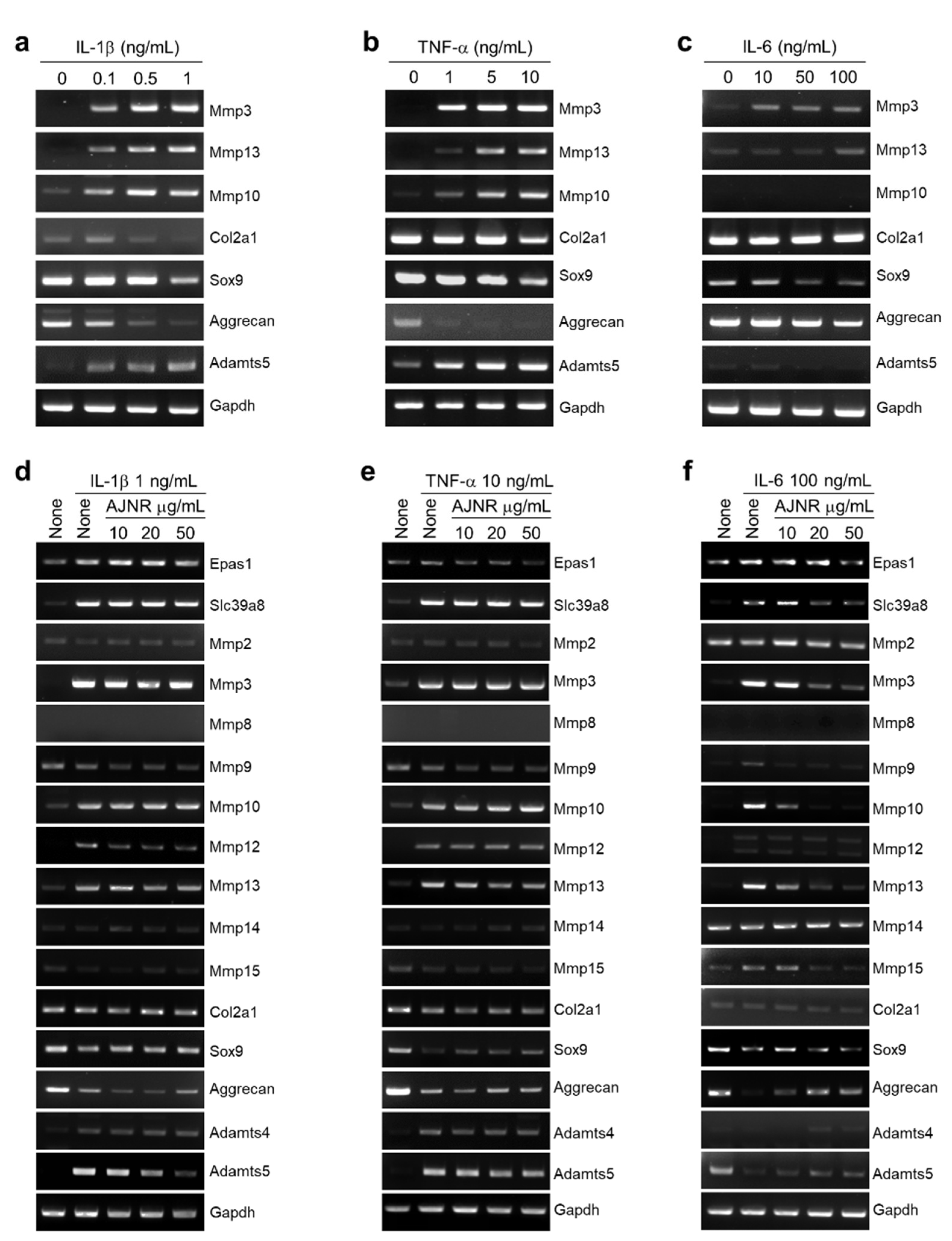Pharmaceuticals 14 00776 g003a Pharmaceuticals 14 00776 g003a