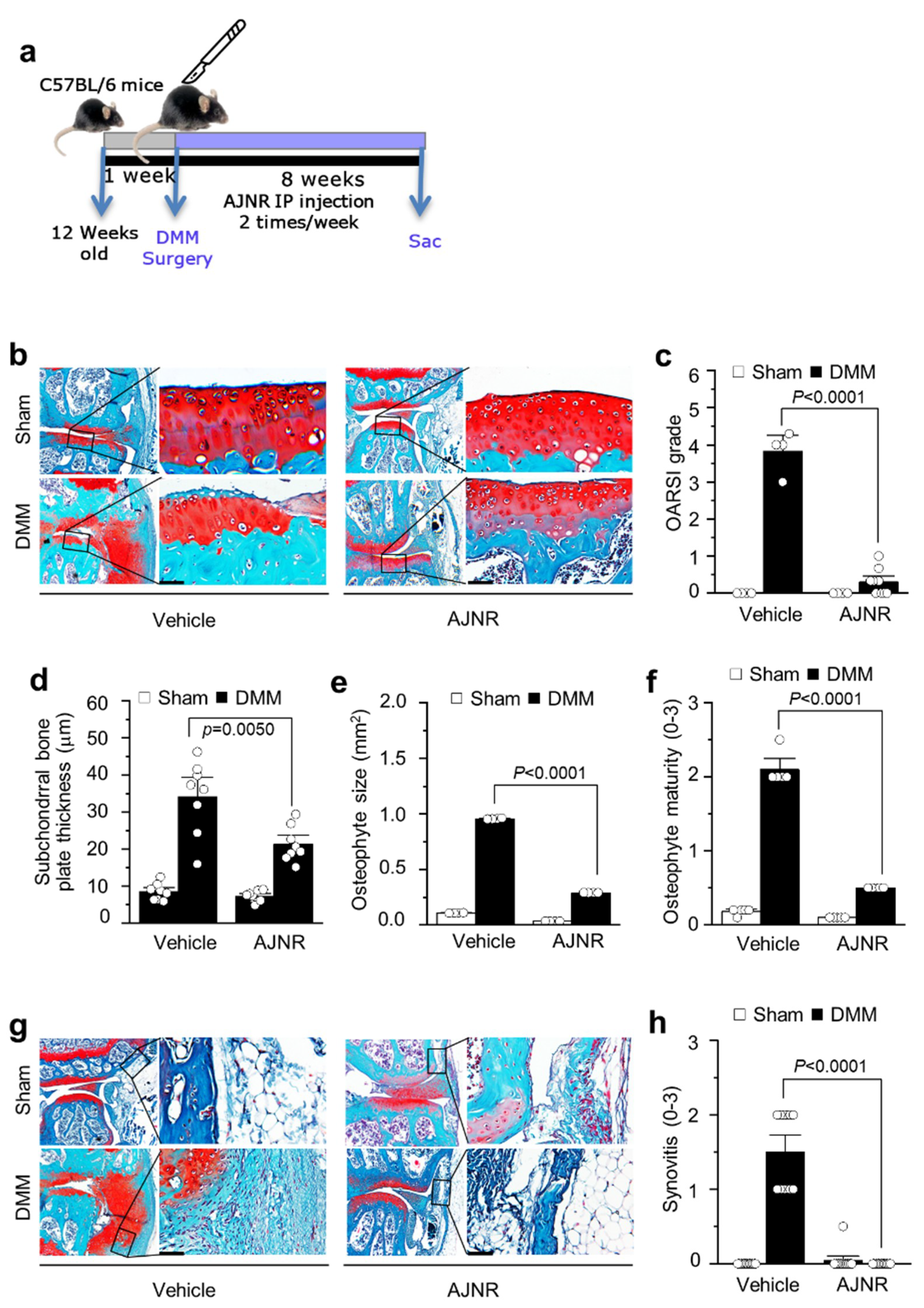 Pharmaceuticals 14 00776 g004 Pharmaceuticals 14 00776 g004
