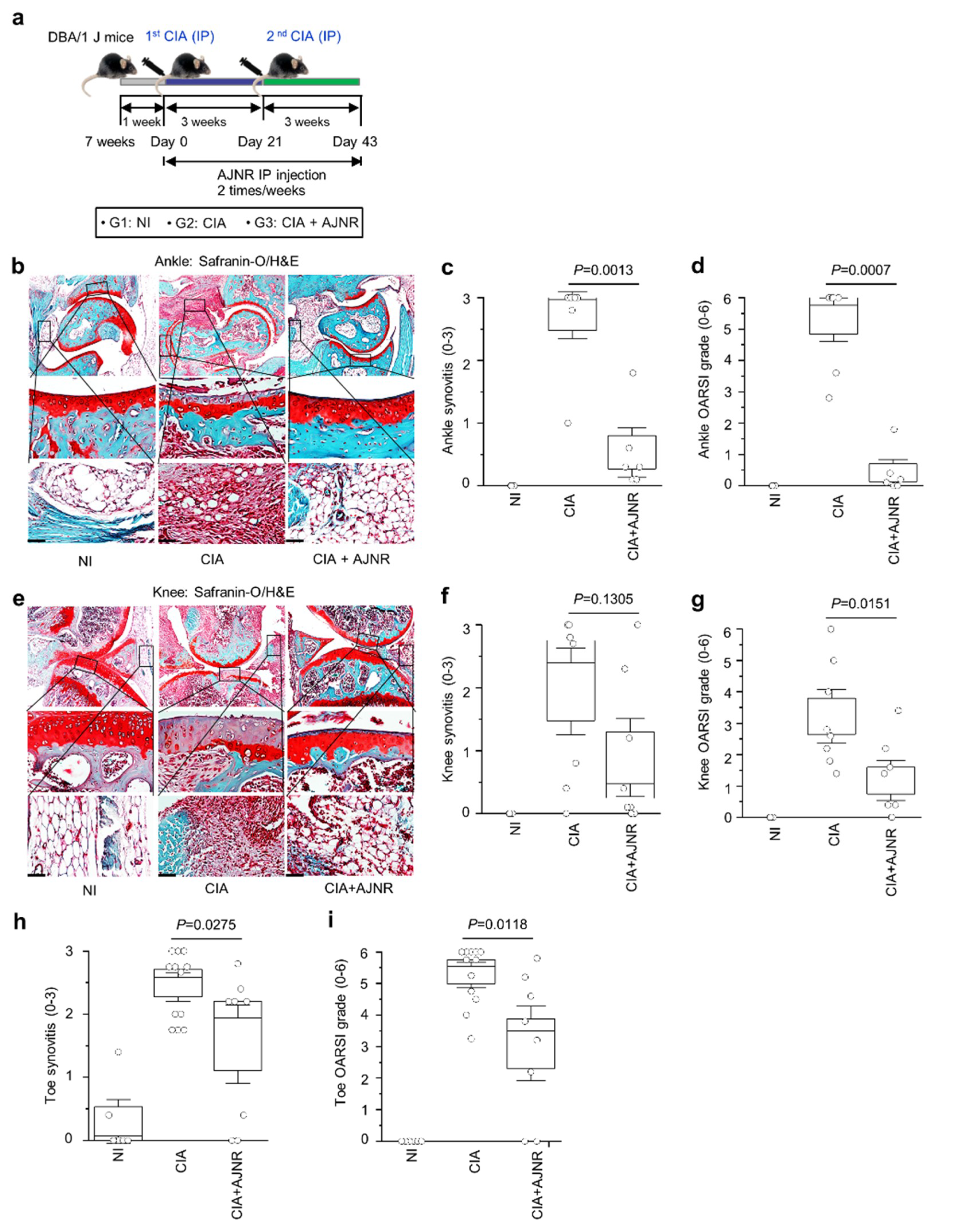 Pharmaceuticals 14 00776 g005 Pharmaceuticals 14 00776 g005