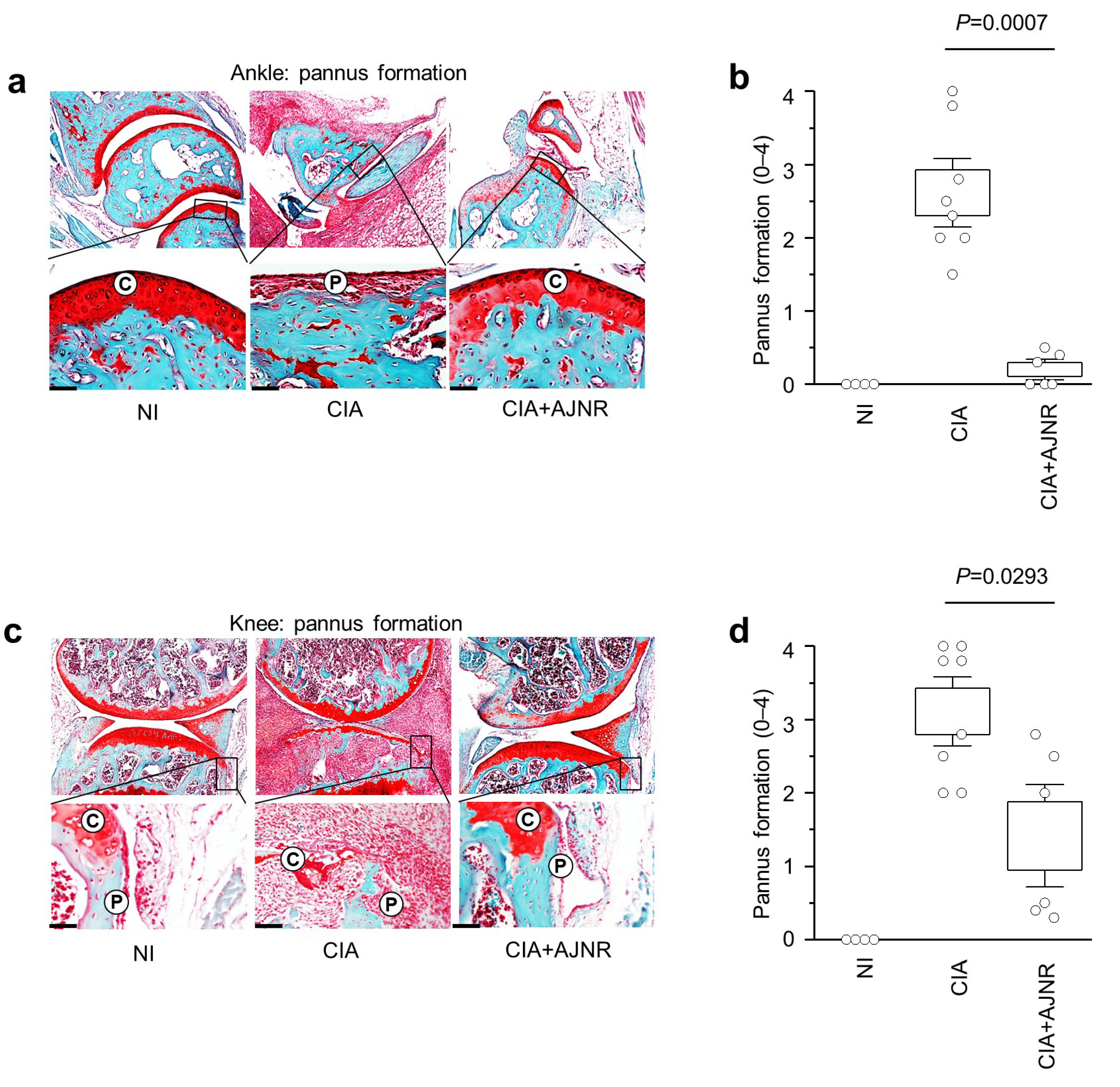 Pharmaceuticals 14 00776 g006 Pharmaceuticals 14 00776 g006