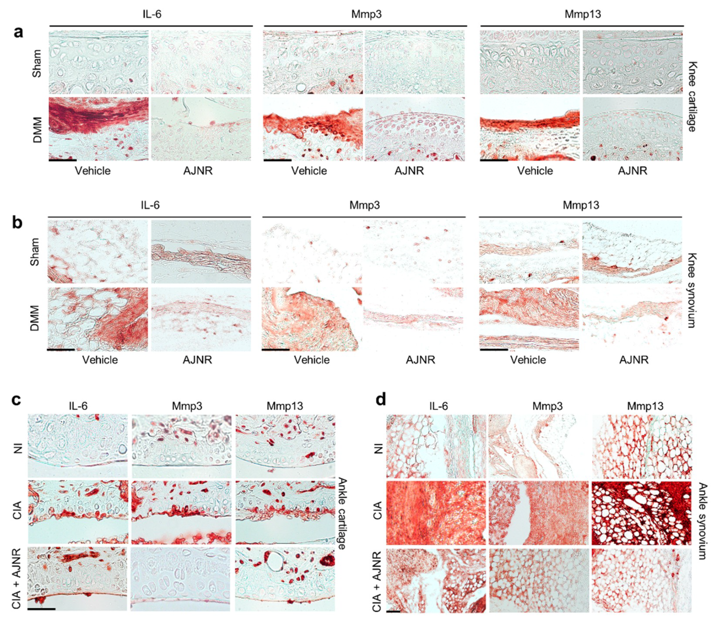 Pharmaceuticals 14 00776 g007 Pharmaceuticals 14 00776 g007