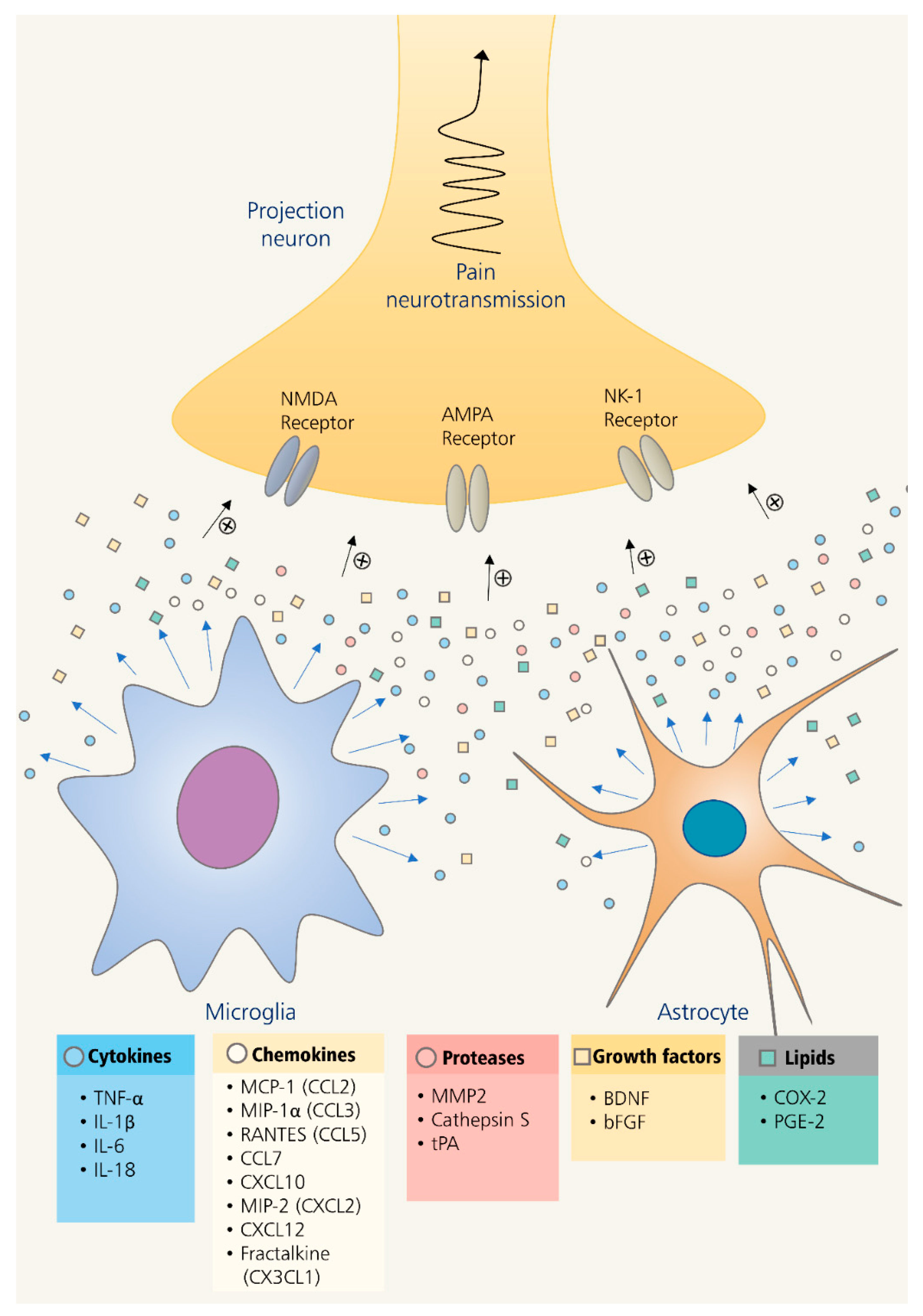 Pharmaceuticals 14 00777 g001