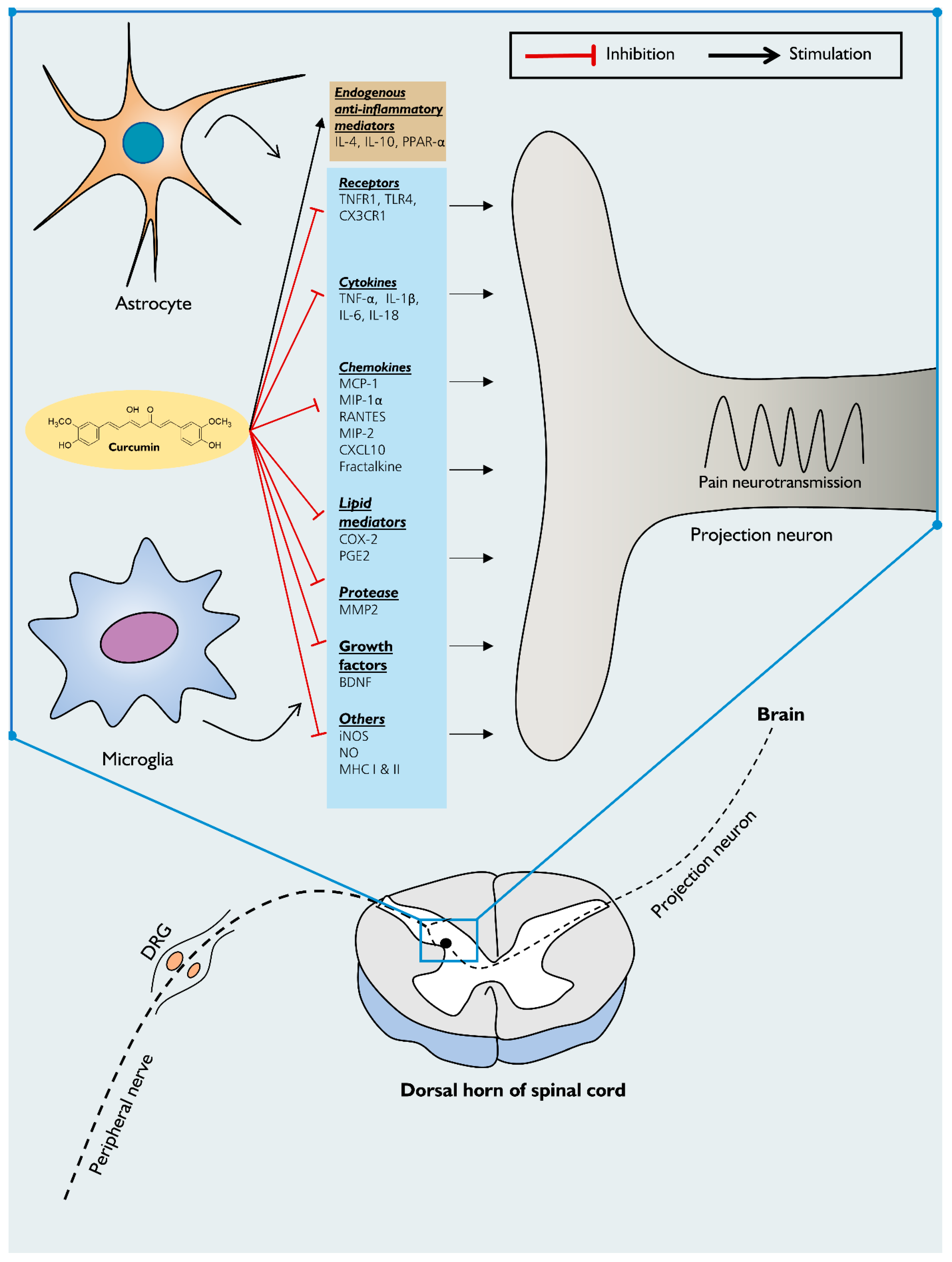 Pharmaceuticals 14 00777 g002