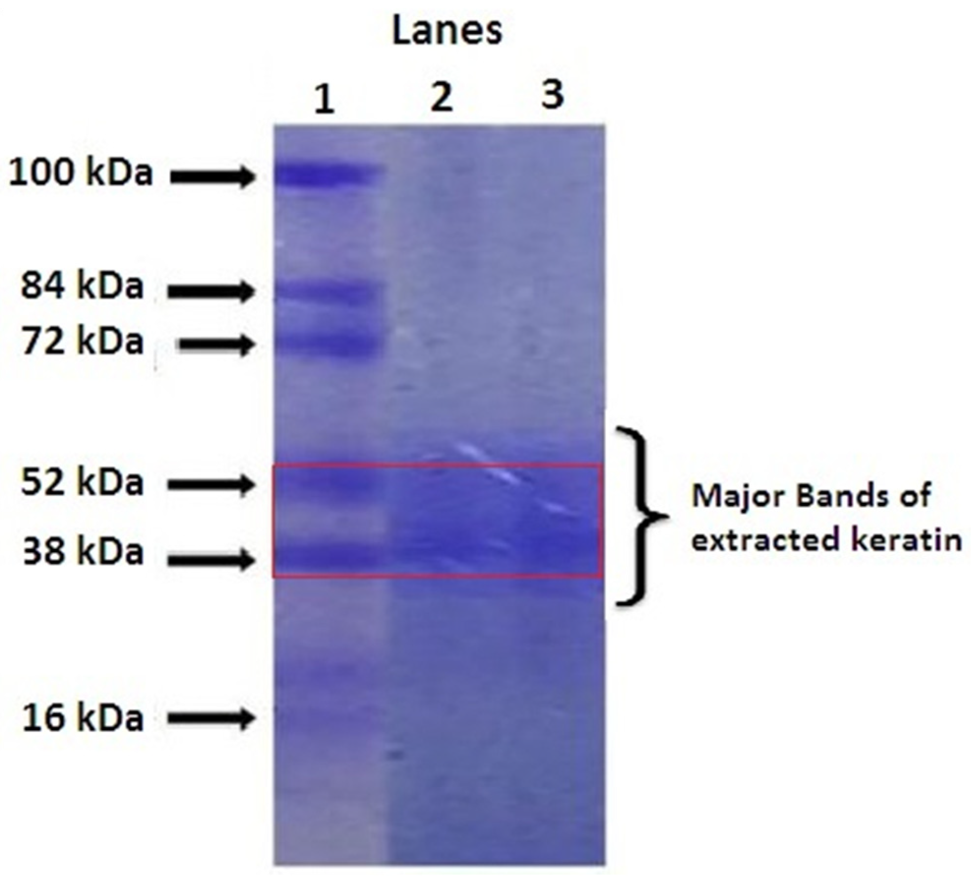 Pharmaceuticals 14 00781 g001